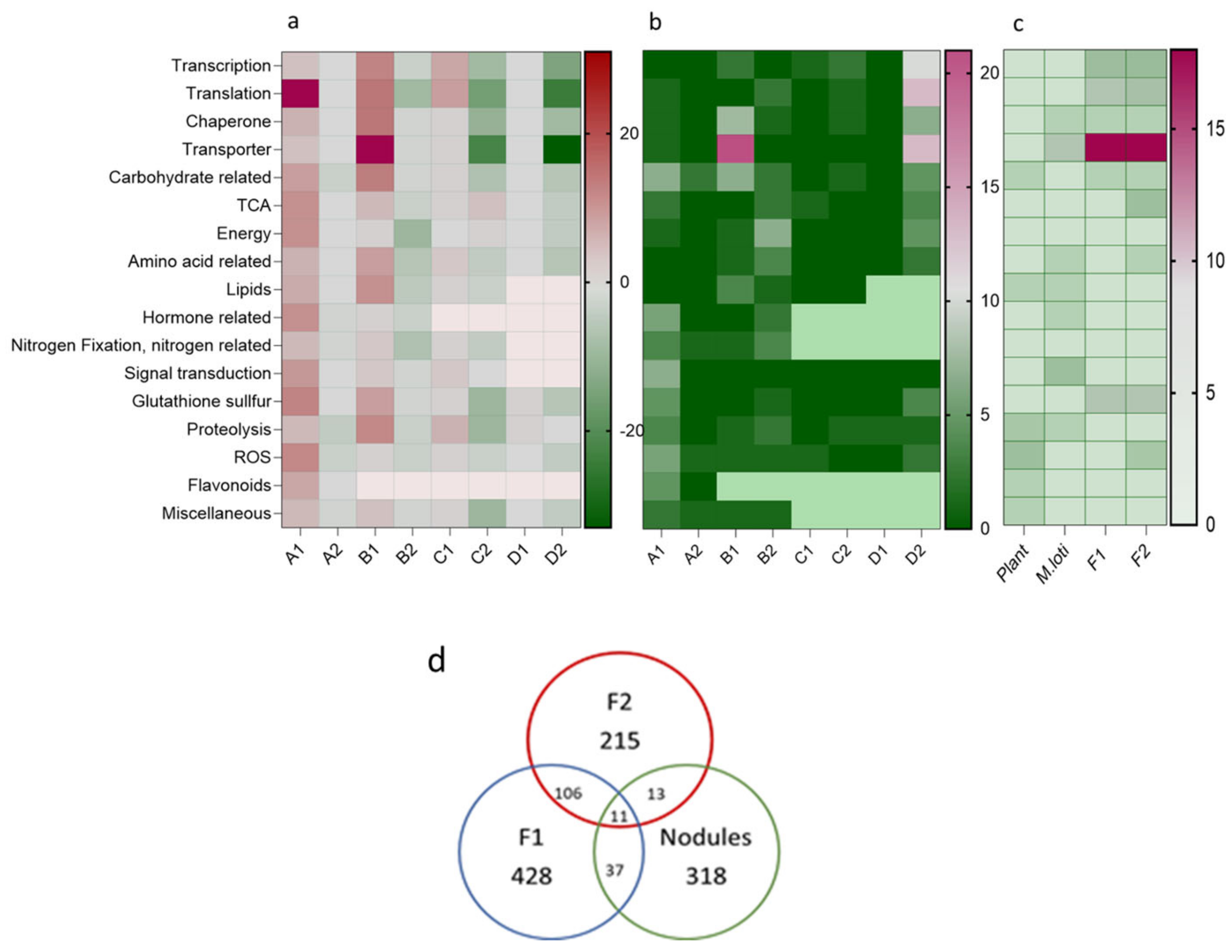 Plants 13 02897 g007 Plants 13 02897 g007