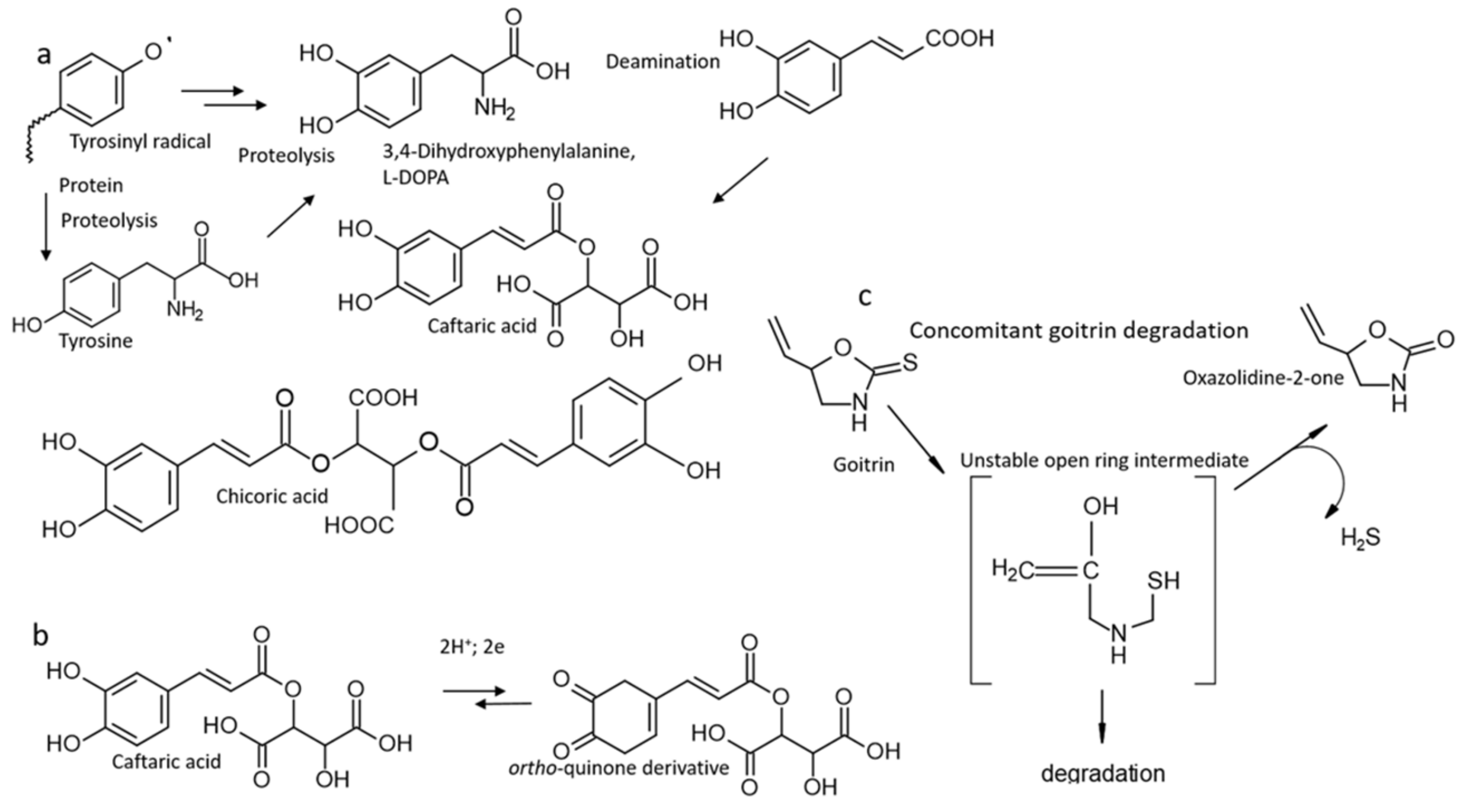 Plants 13 02897 g008 Plants 13 02897 g008