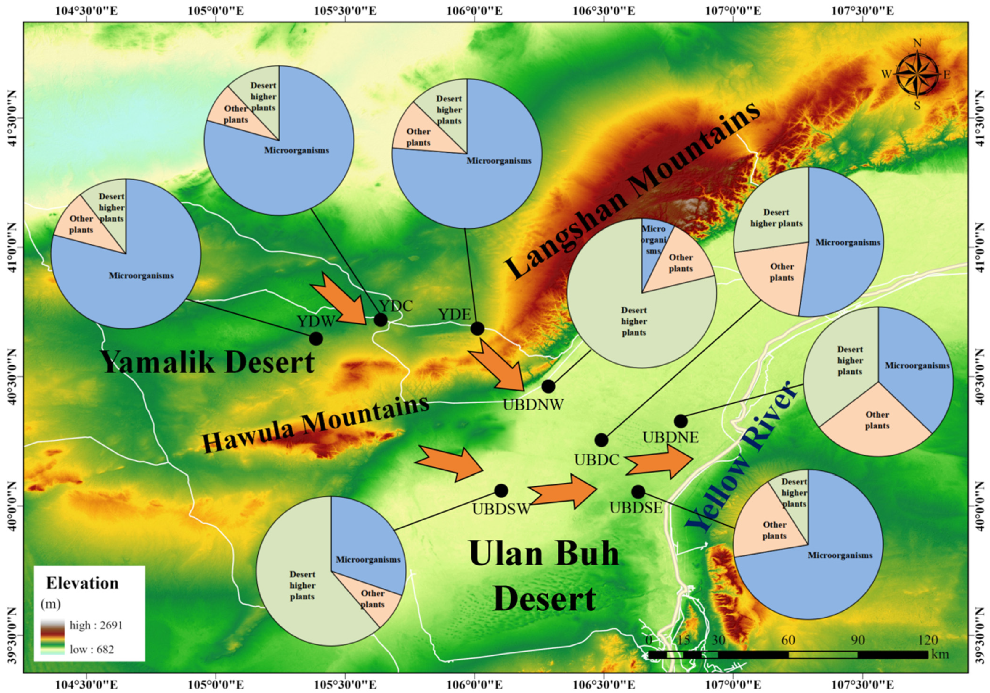 Plants 13 02898 g005