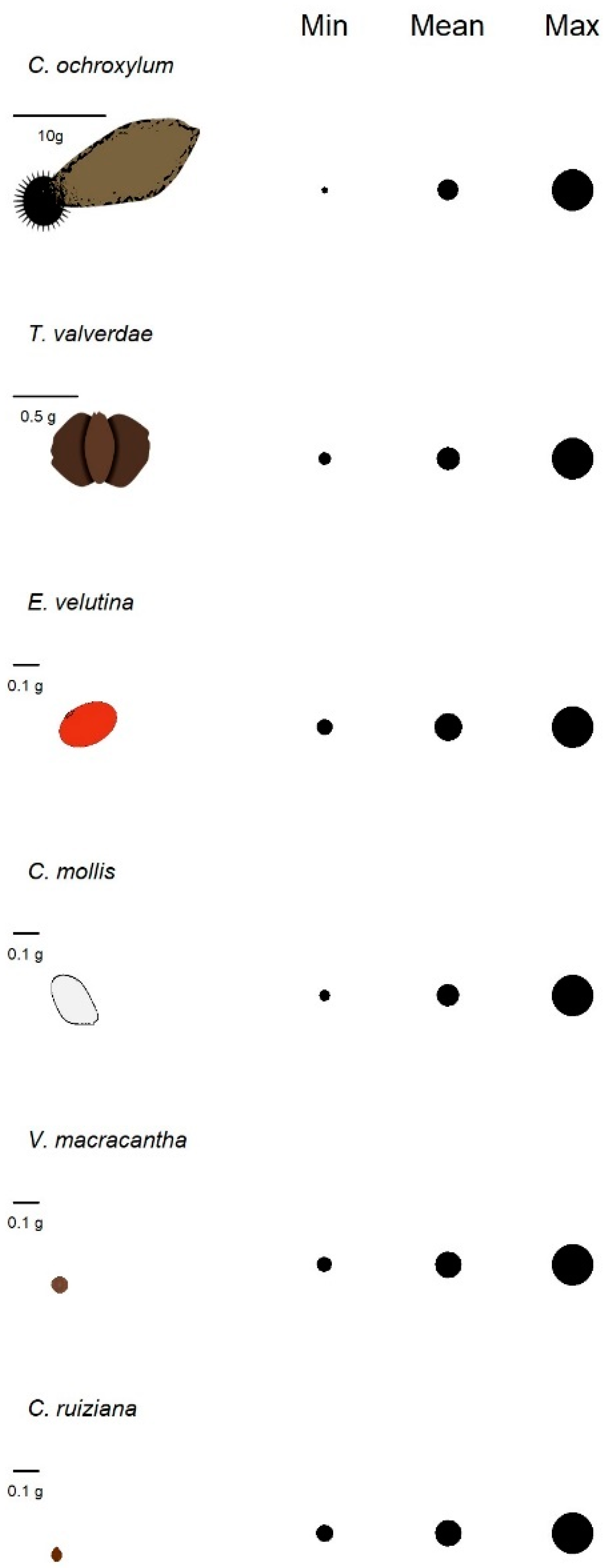 Plants 13 02900 g003 Plants 13 02900 g003