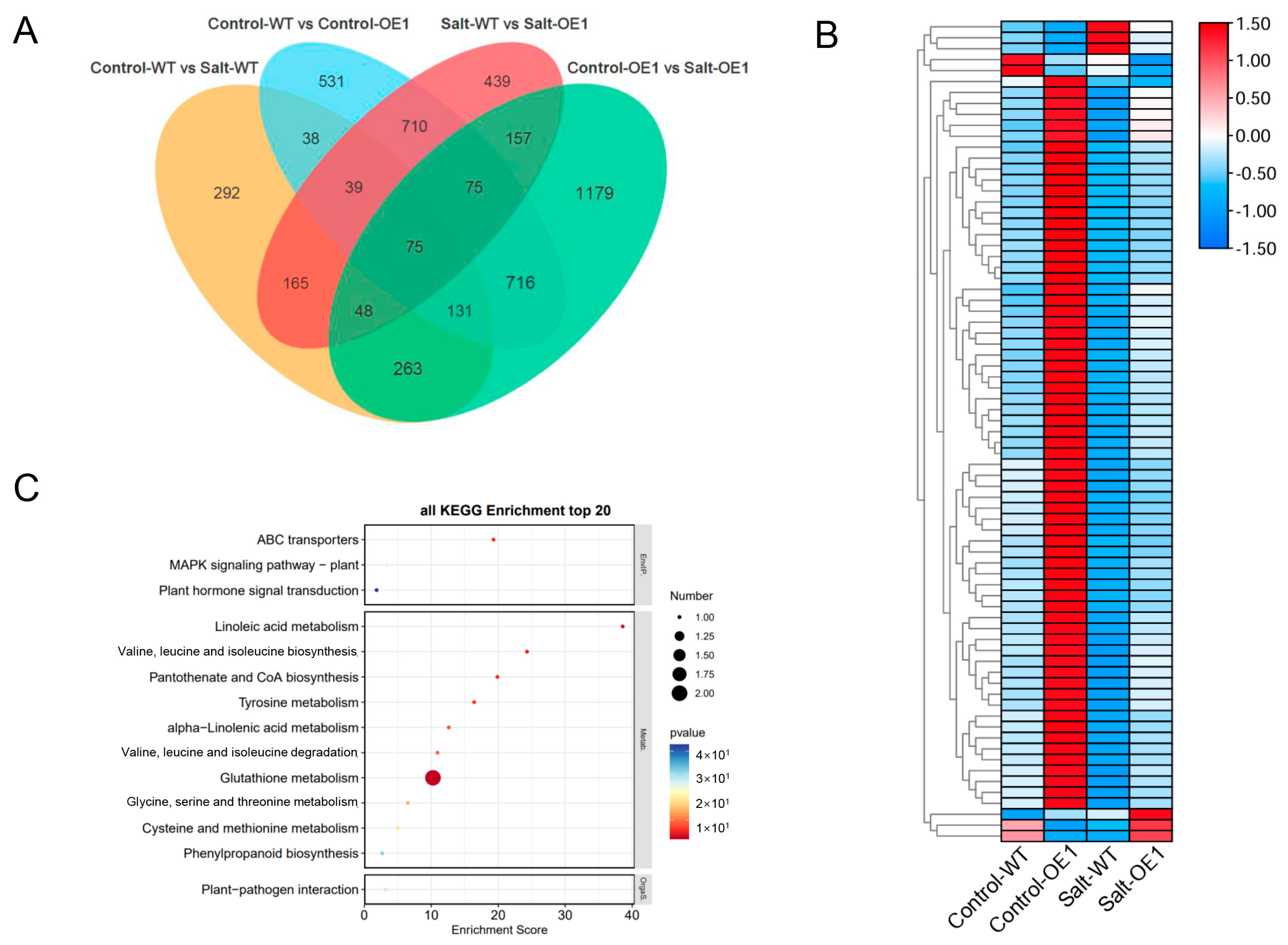 Plants 13 02904 g004