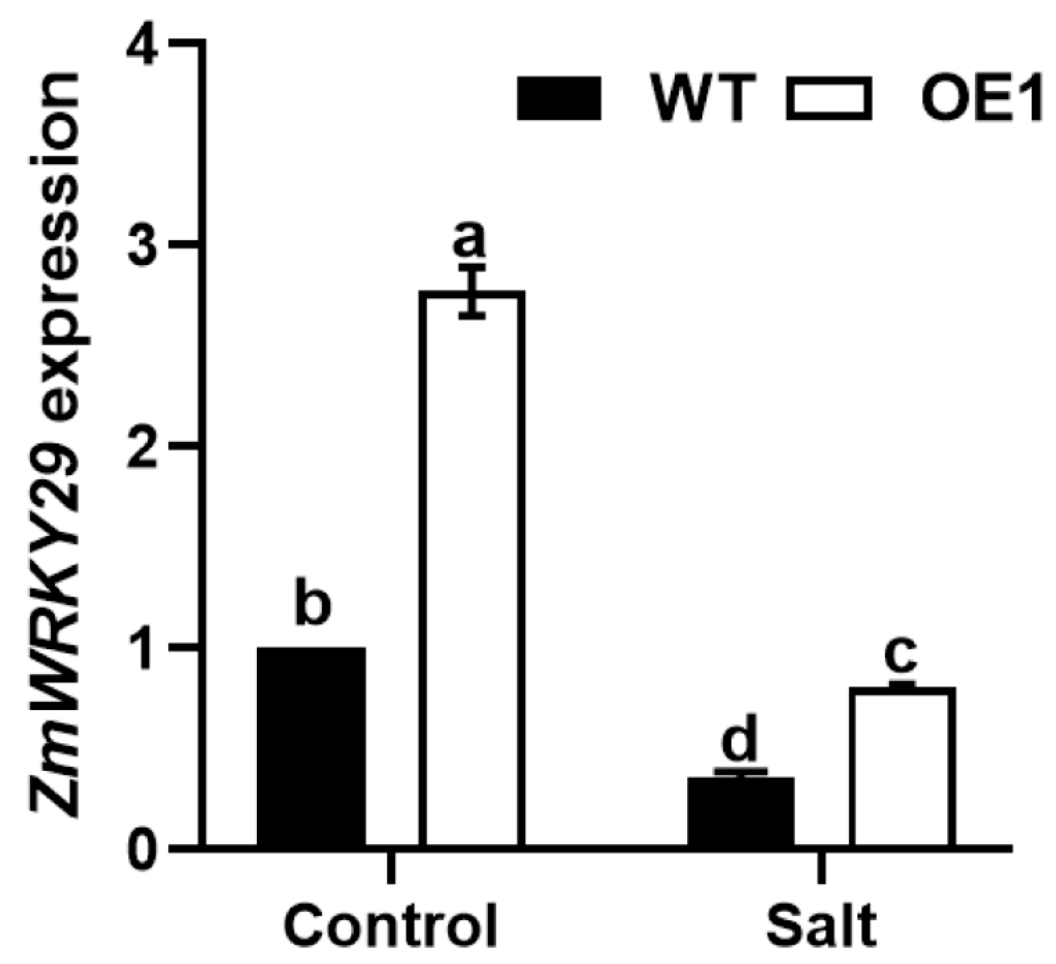 Plants 13 02904 g005