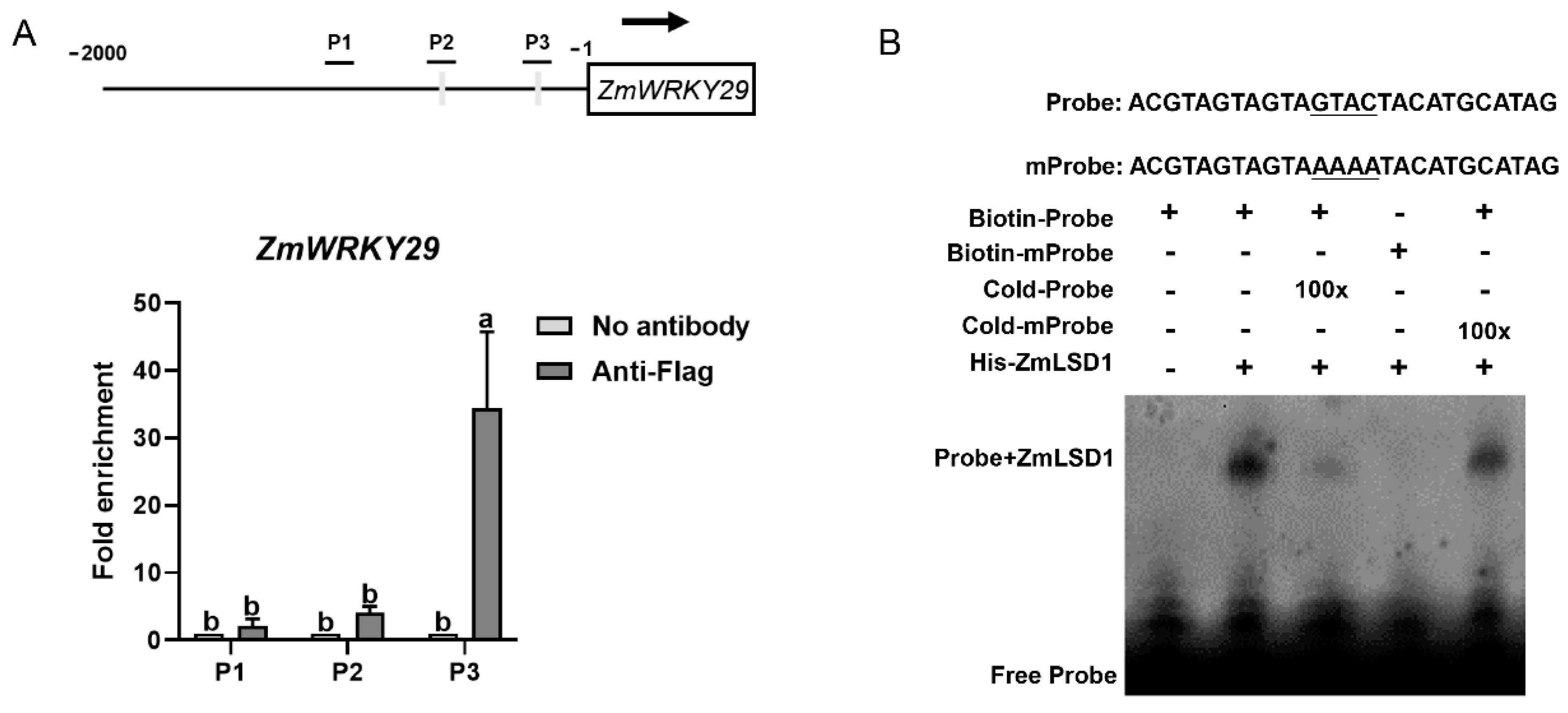 Plants 13 02904 g006