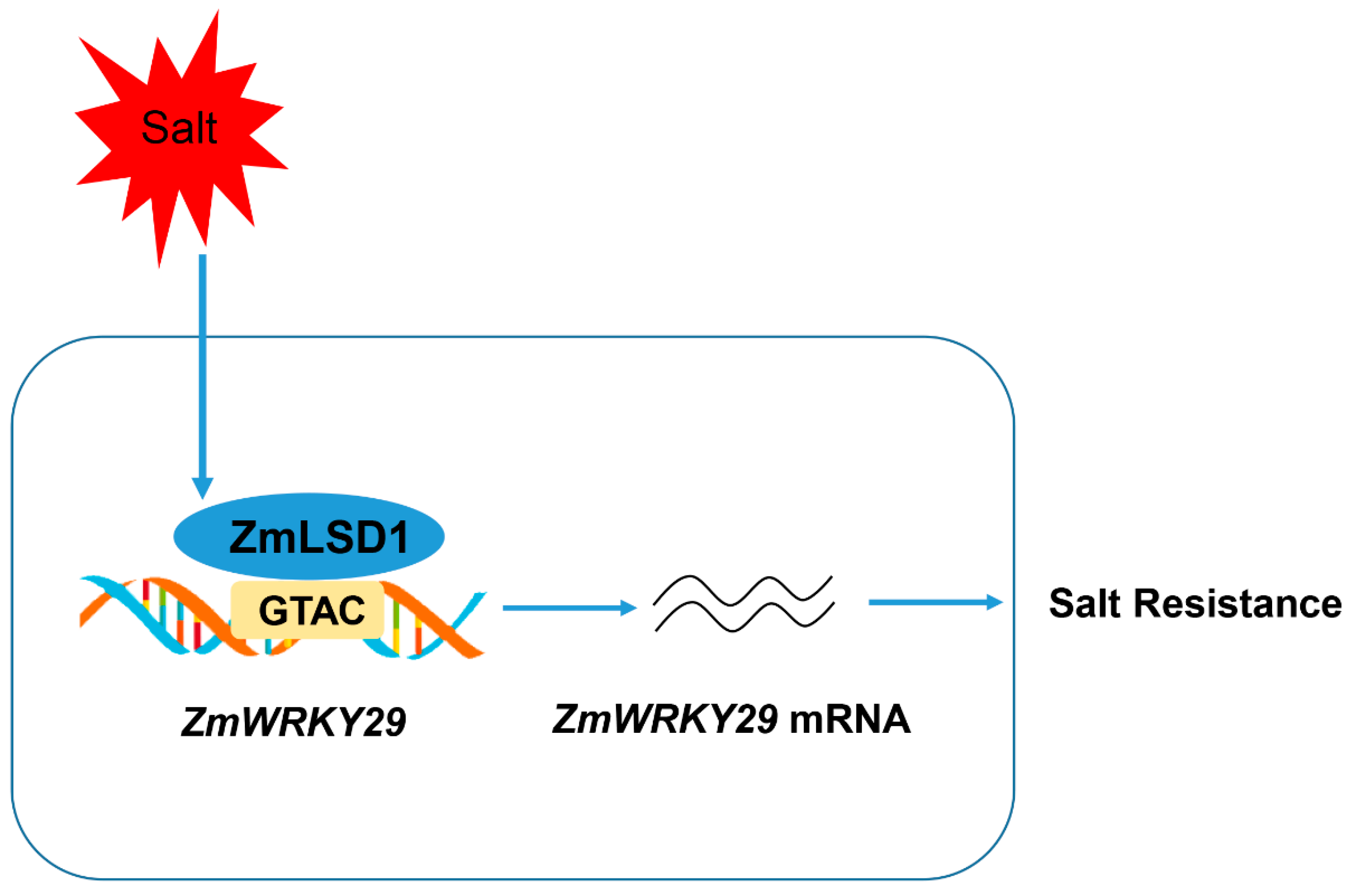 Plants 13 02904 g007