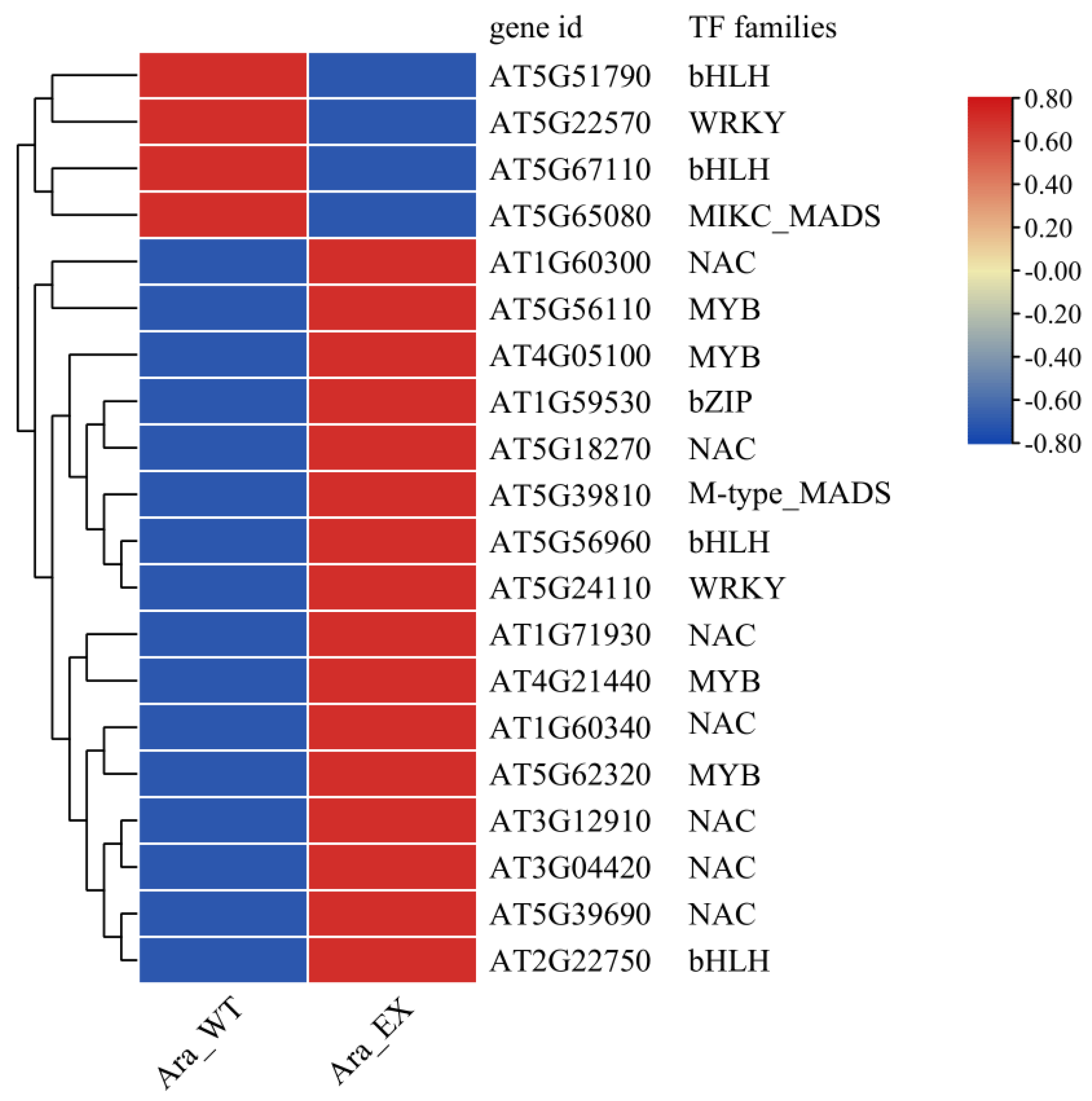 Plants 13 02906 g004
