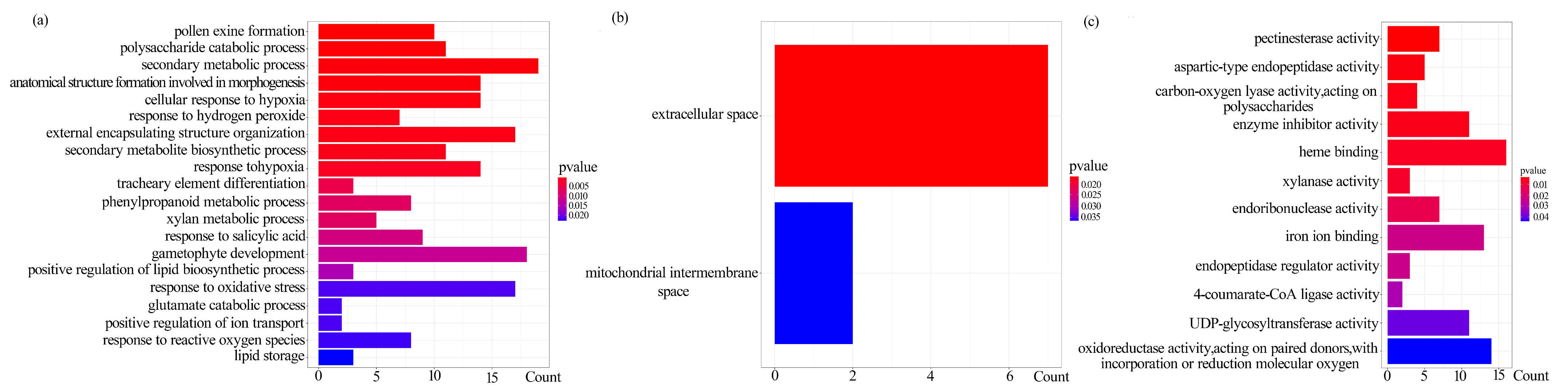 Plants 13 02906 g005