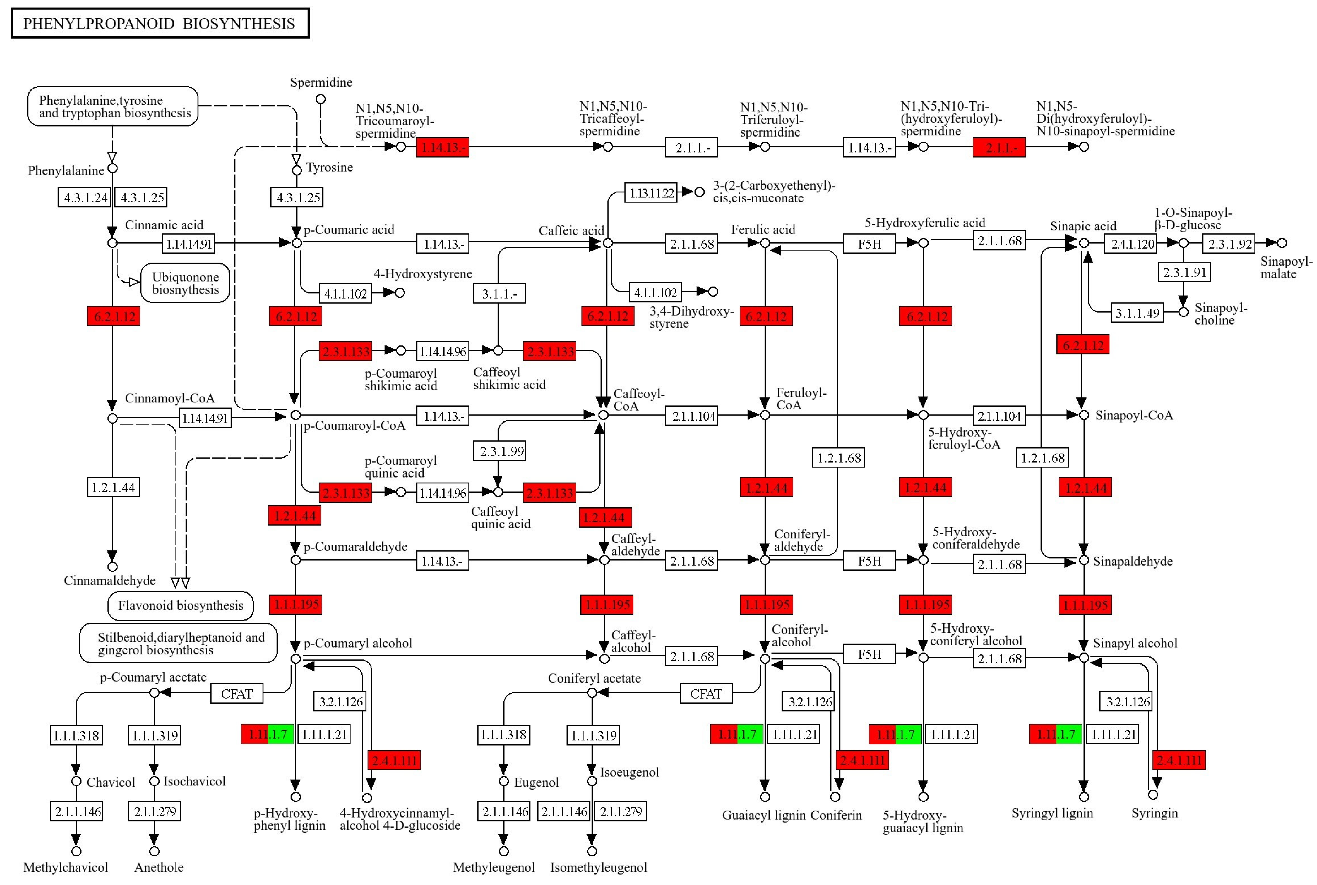 Plants 13 02906 g007