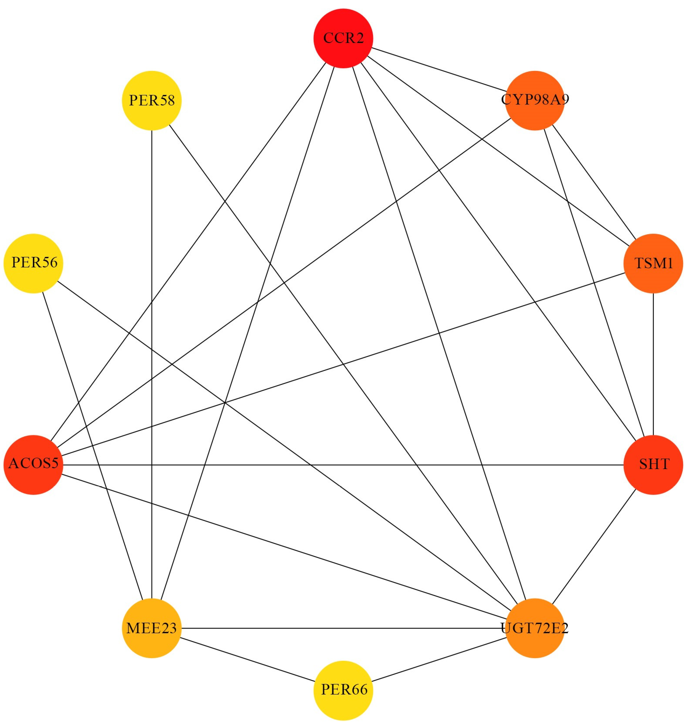 Plants 13 02906 g008