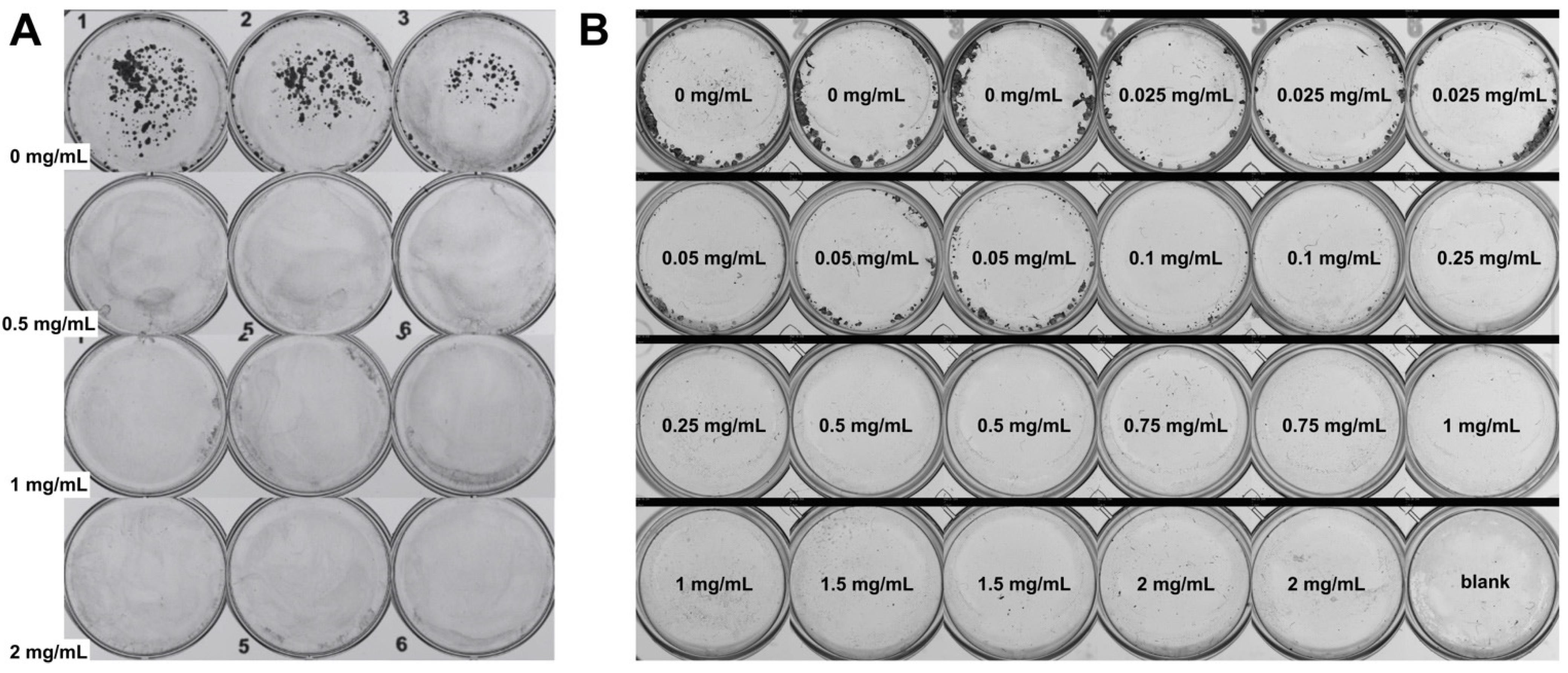 Plants 13 02907 g005