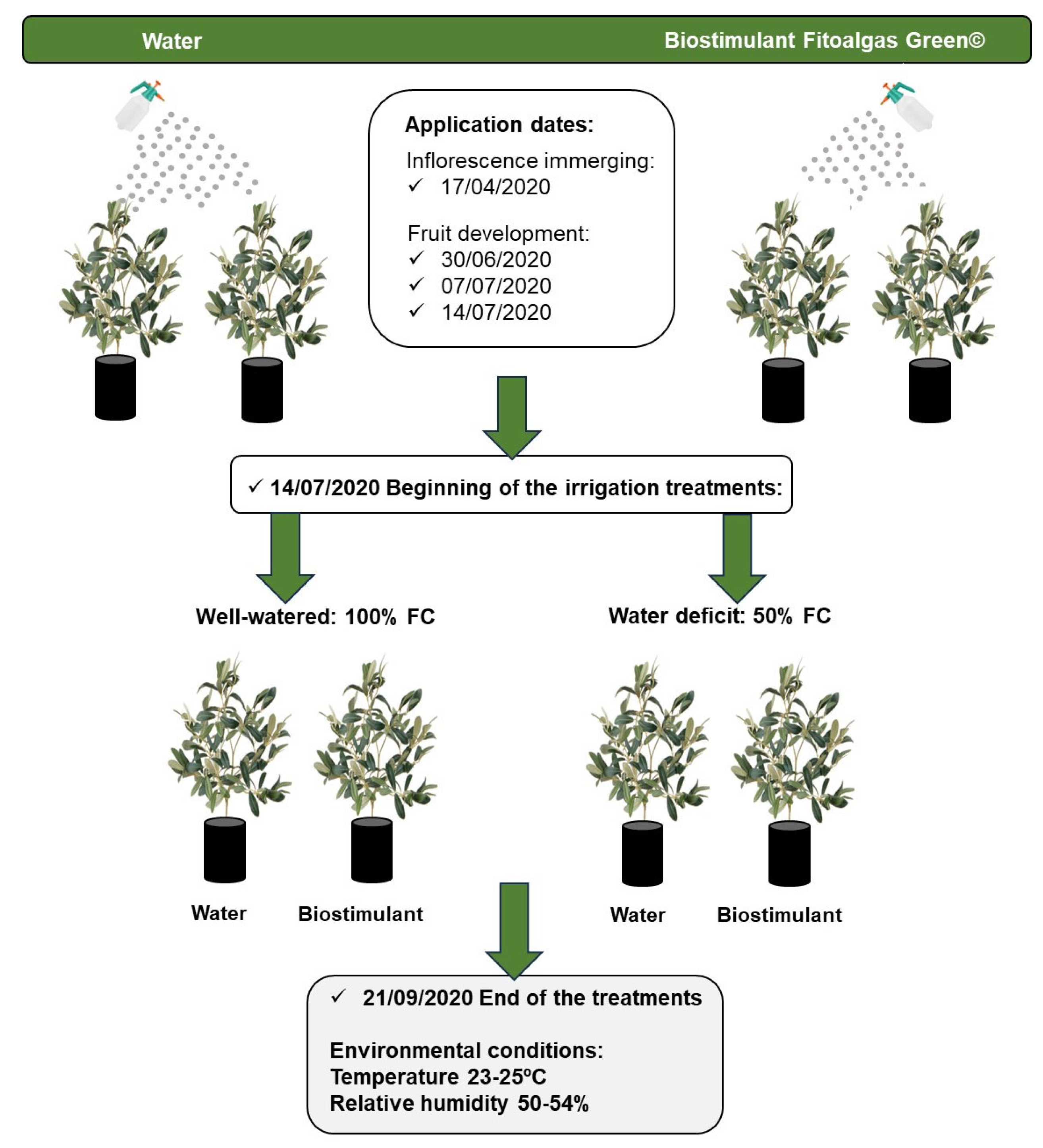 Plants 13 02908 g008