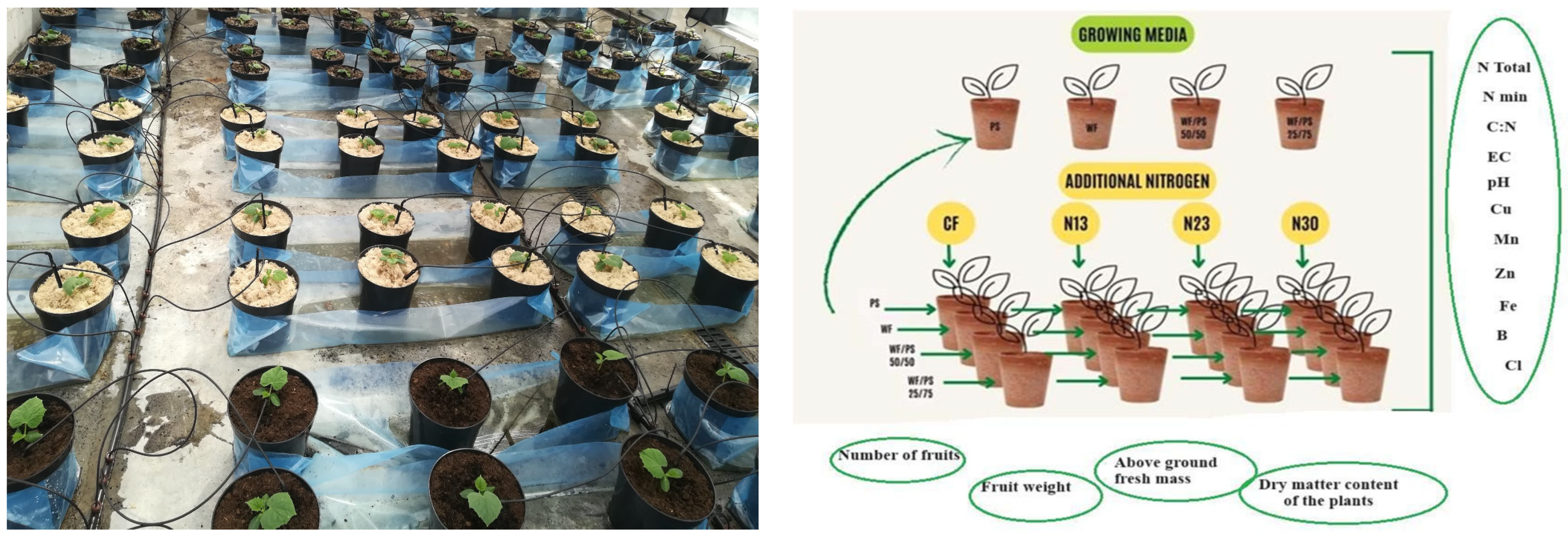 Plants 13 02911 g001