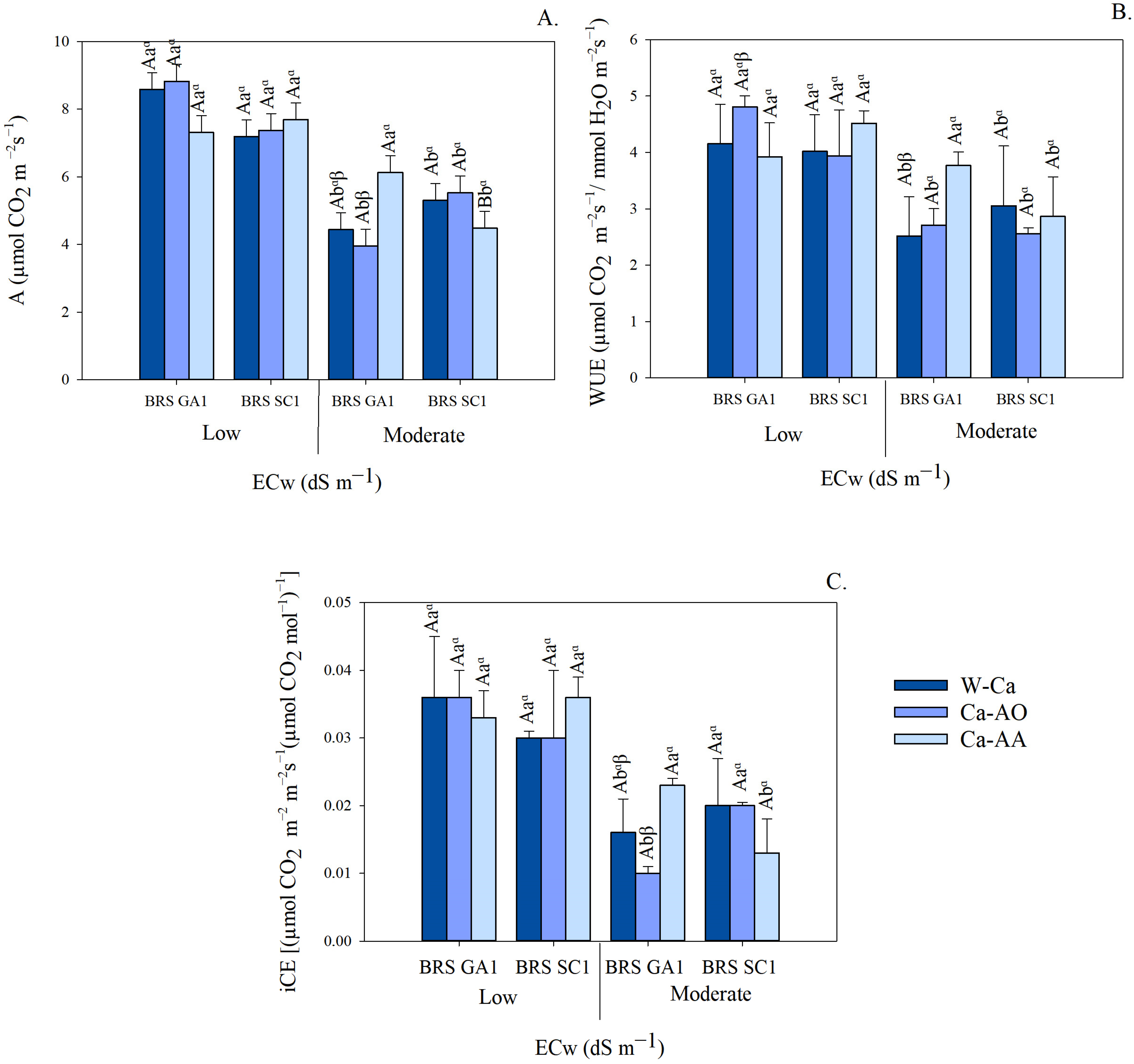 Plants 13 02912 g001 Plants 13 02912 g001