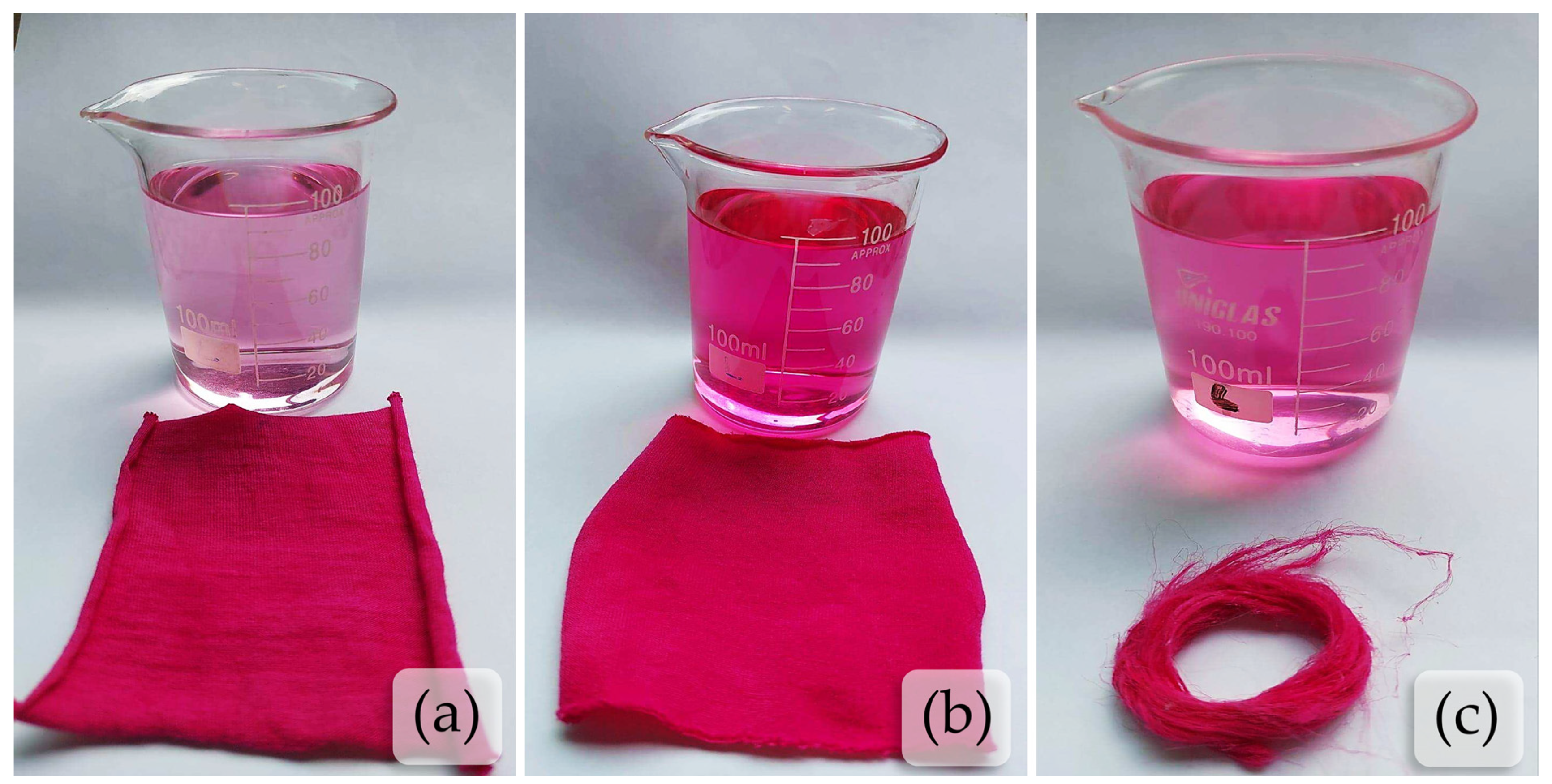 Plants 13 02916 g006