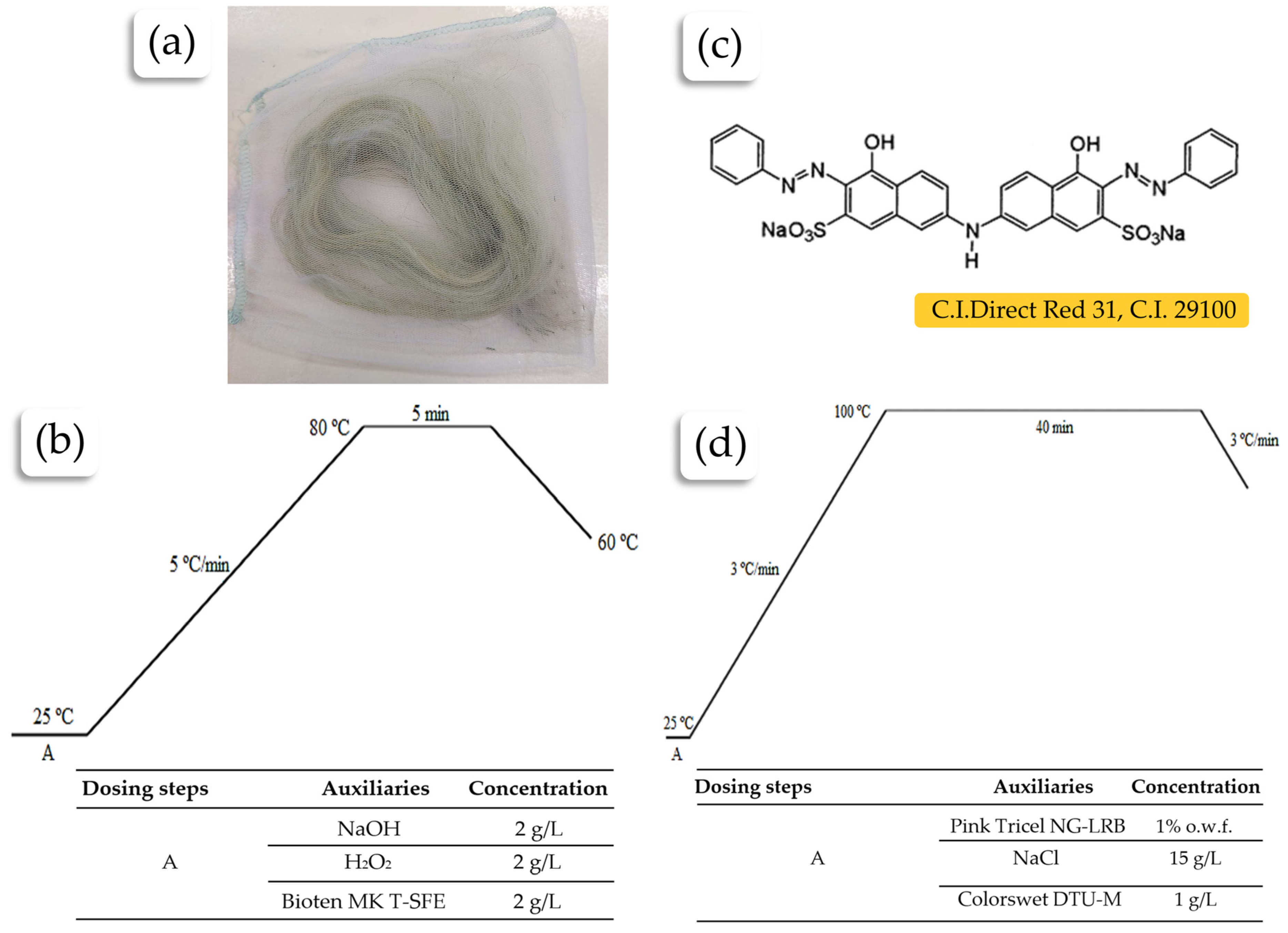 Plants 13 02916 g008