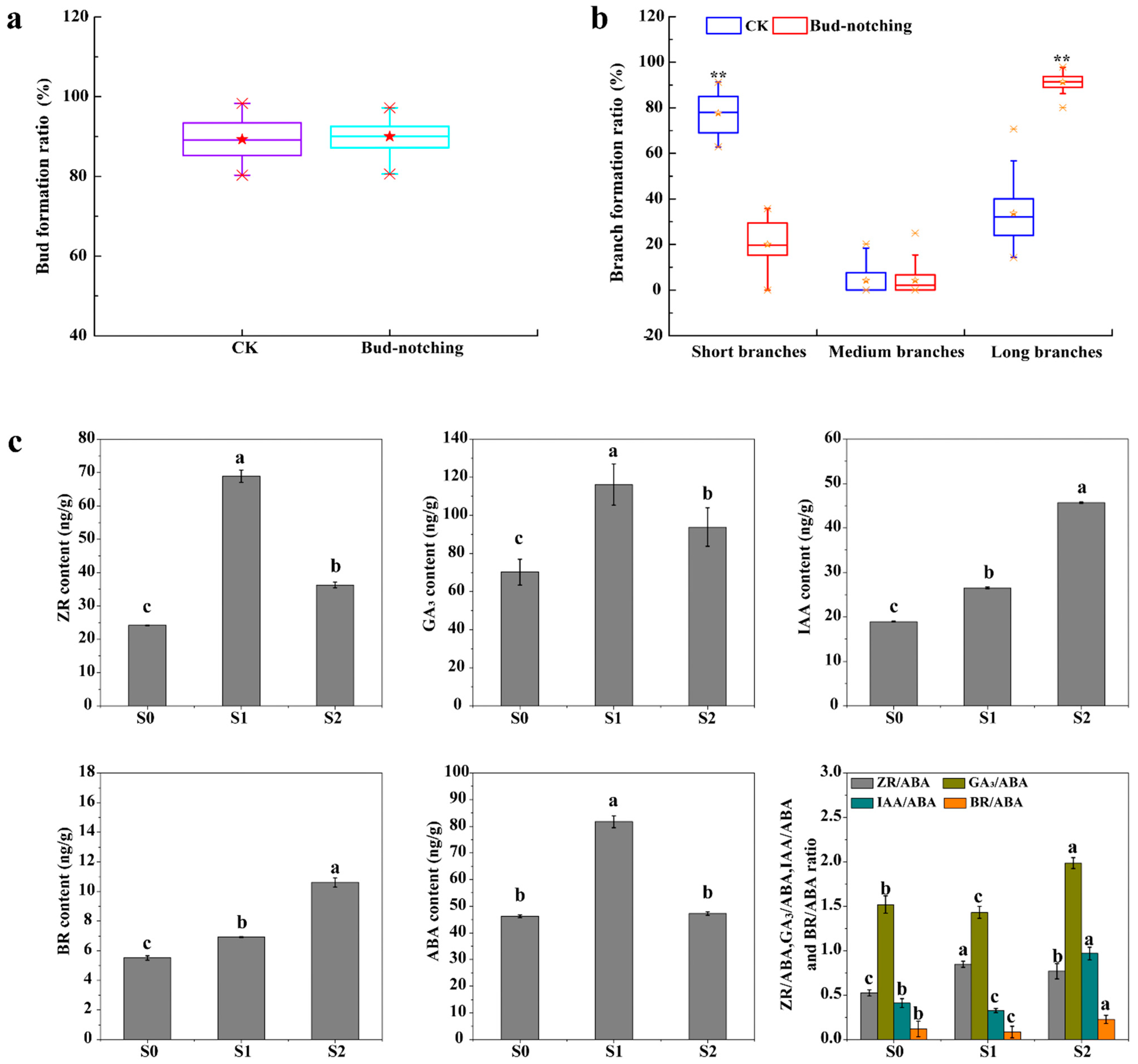 Plants 13 02928 g003 Plants 13 02928 g003