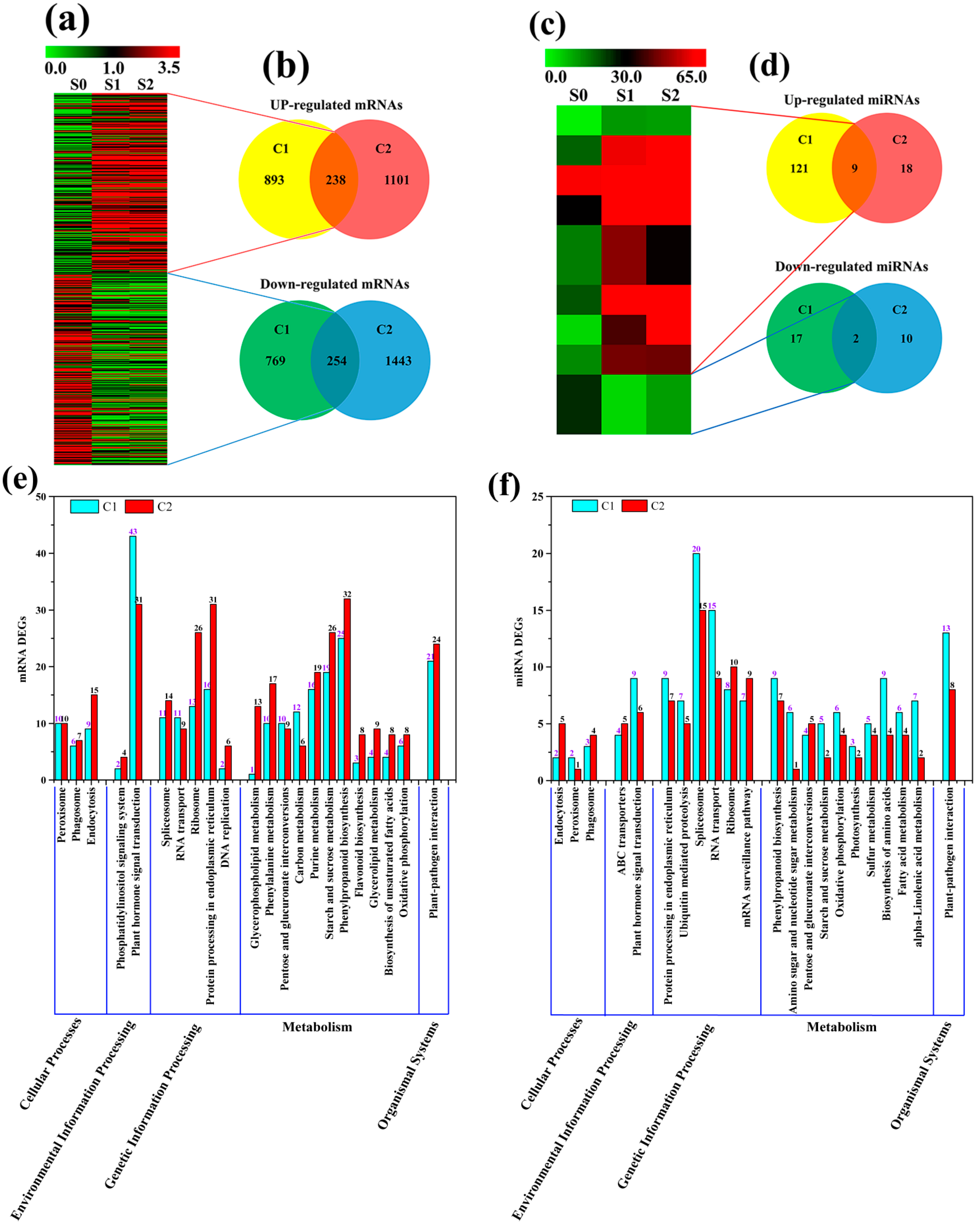 Plants 13 02928 g004 Plants 13 02928 g004