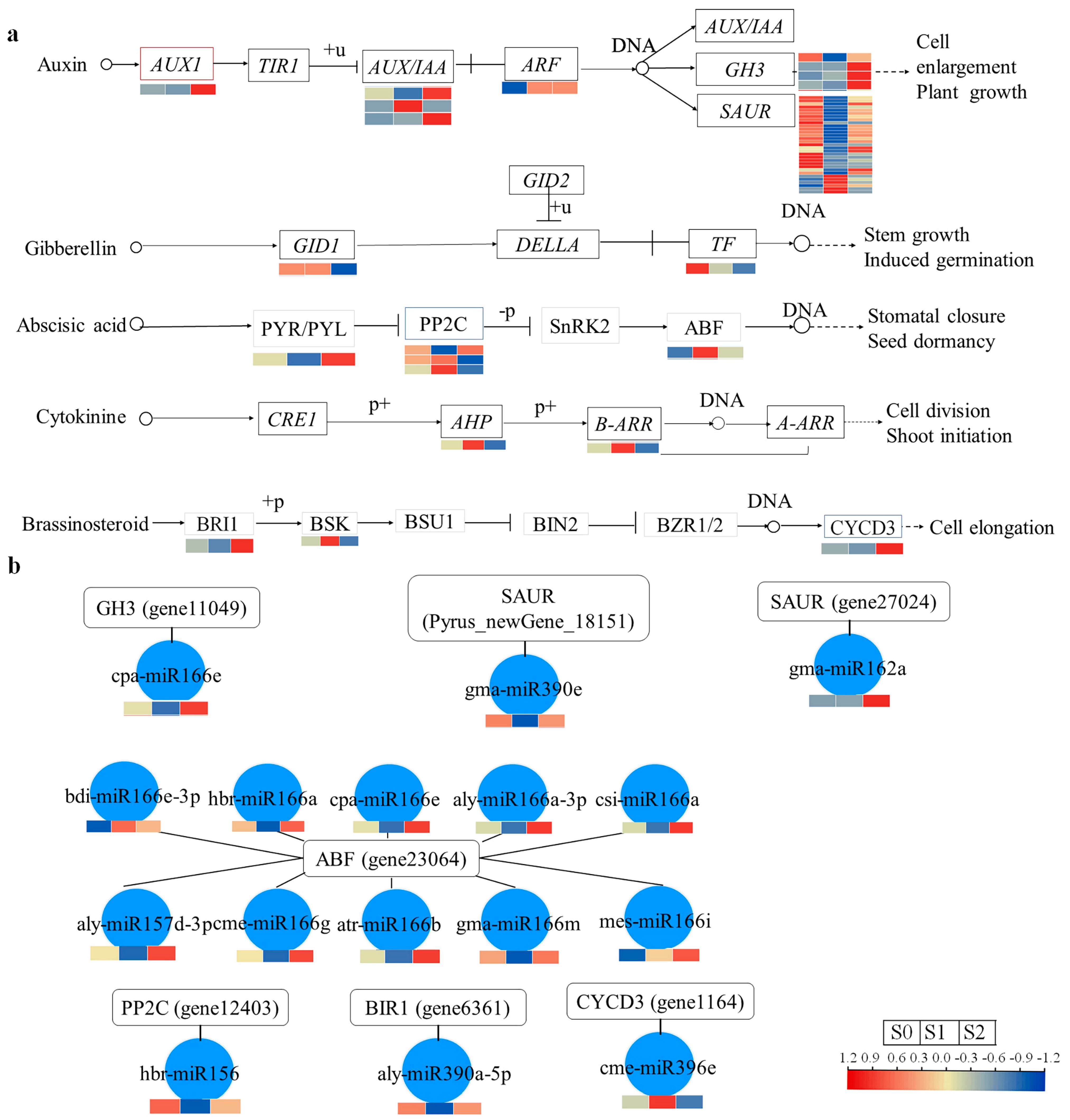 Plants 13 02928 g005 Plants 13 02928 g005