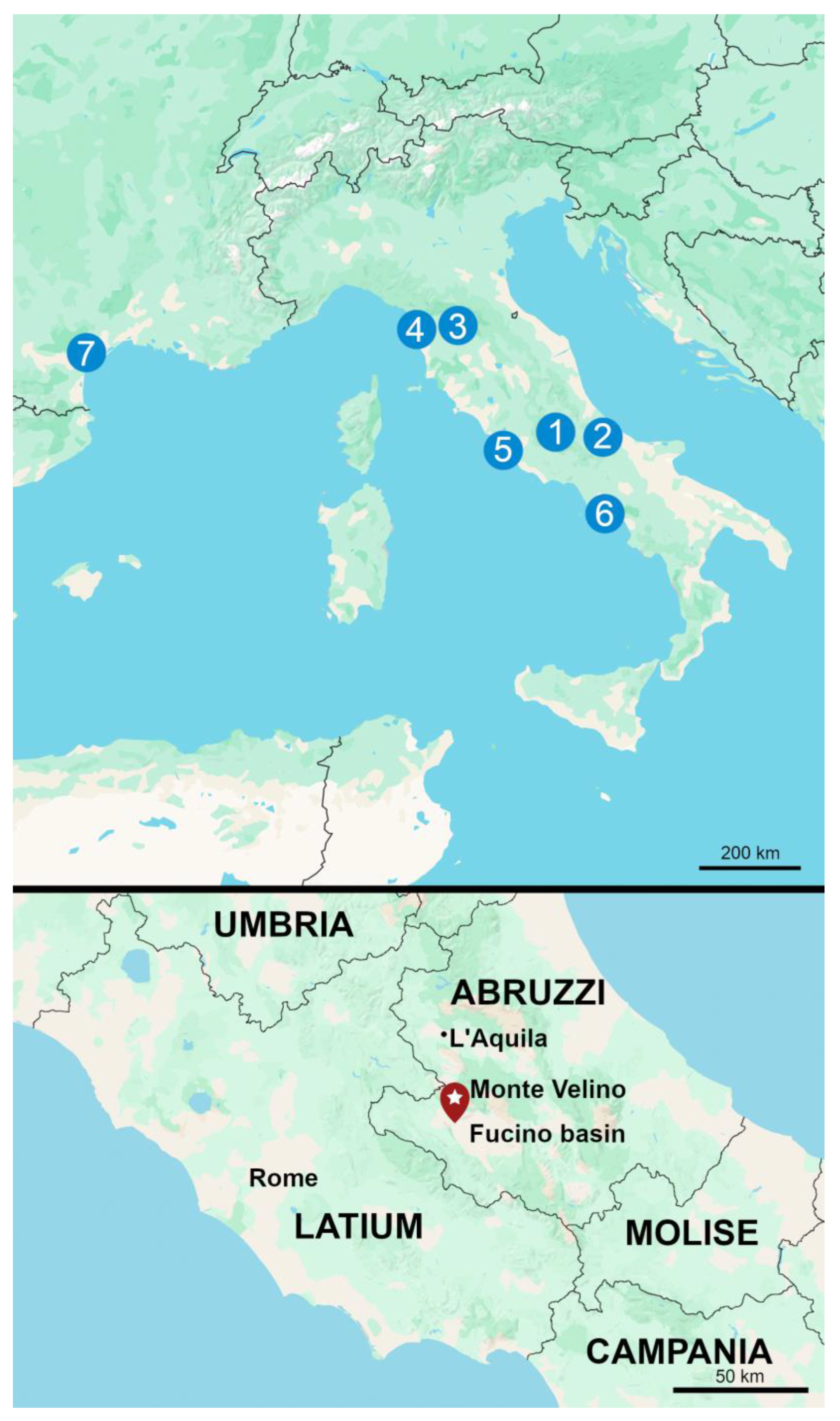 Plants 13 02930 g001