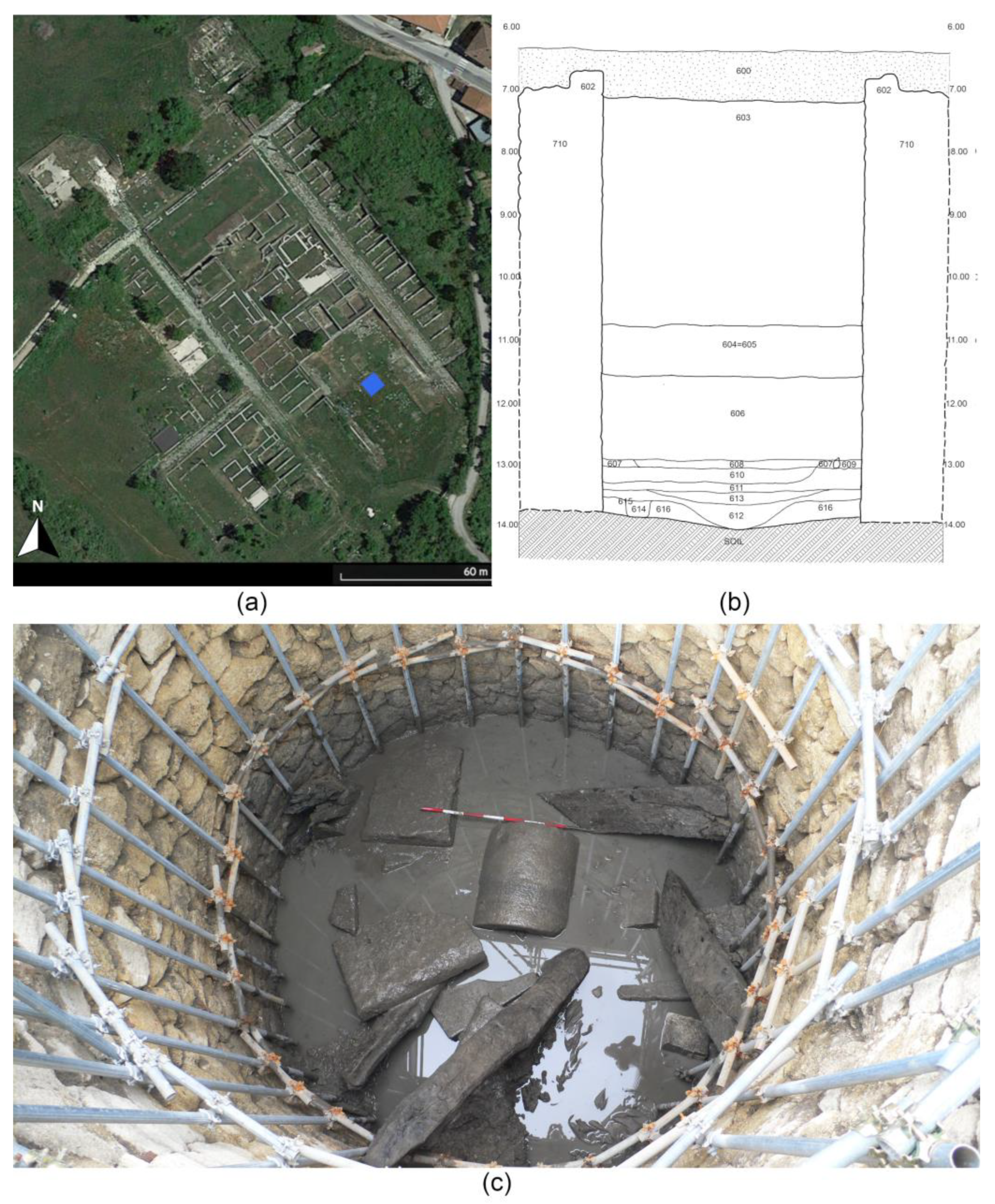 Plants 13 02930 g002