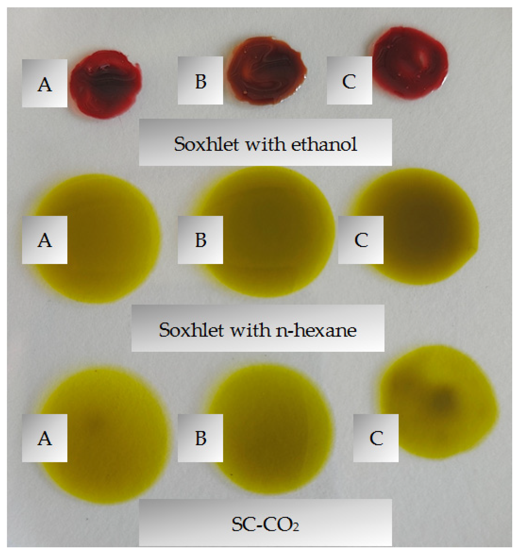 Plants 13 02931 g002