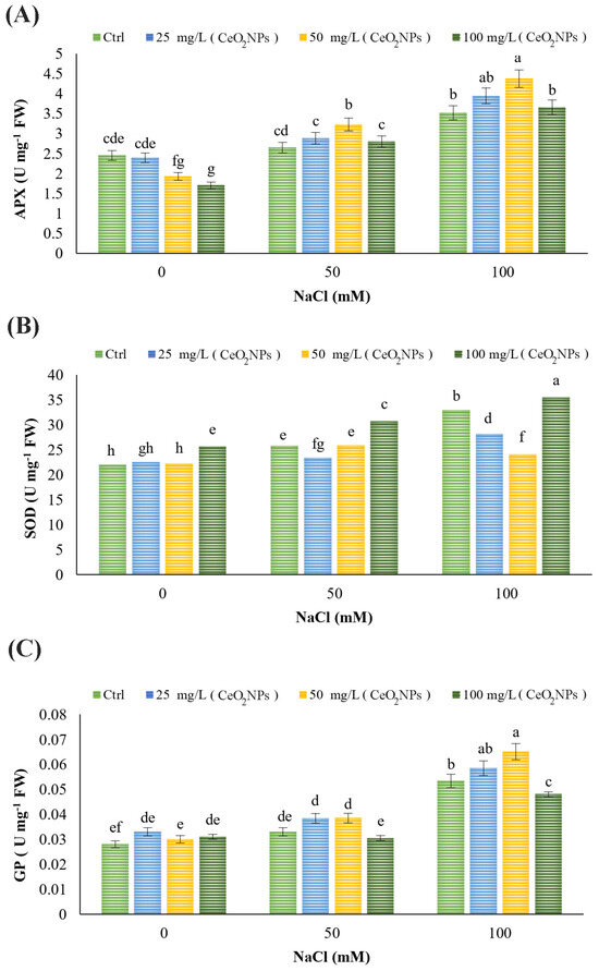 Cerium Oxide Nanoparticles (CeO2 NPs) Enhance Salt Tolerance in ...