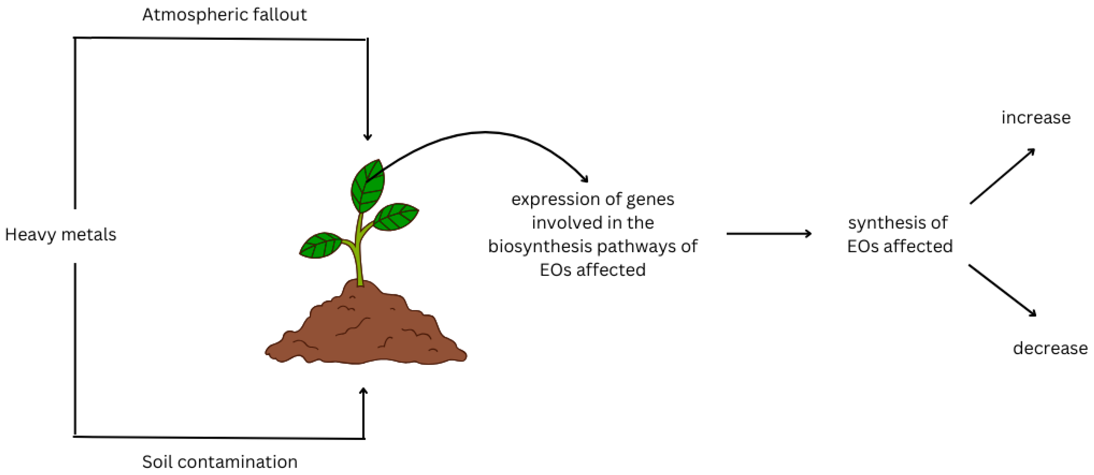 Plants 13 02938 g001 Plants 13 02938 g001