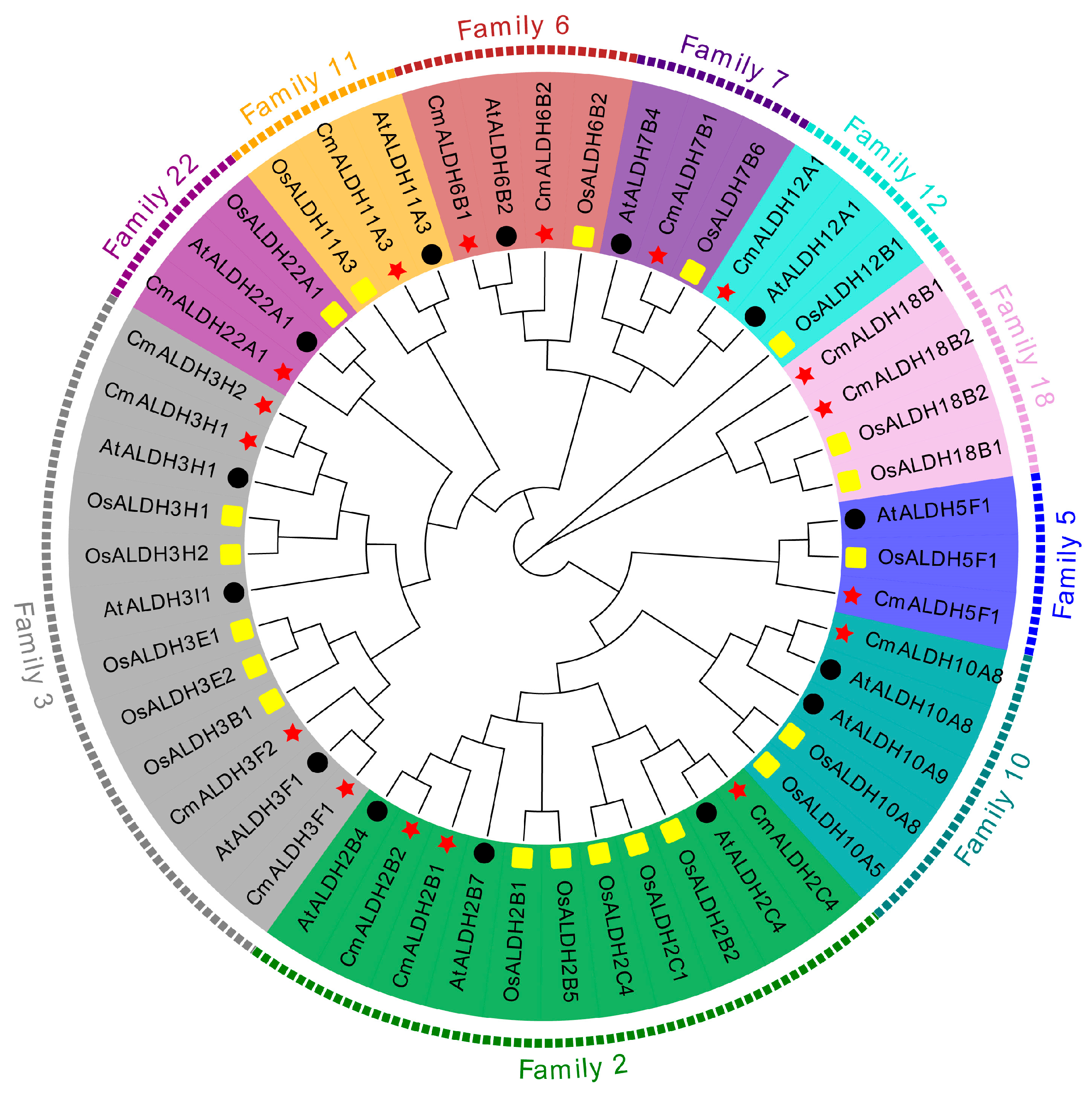 Plants 13 02939 g002