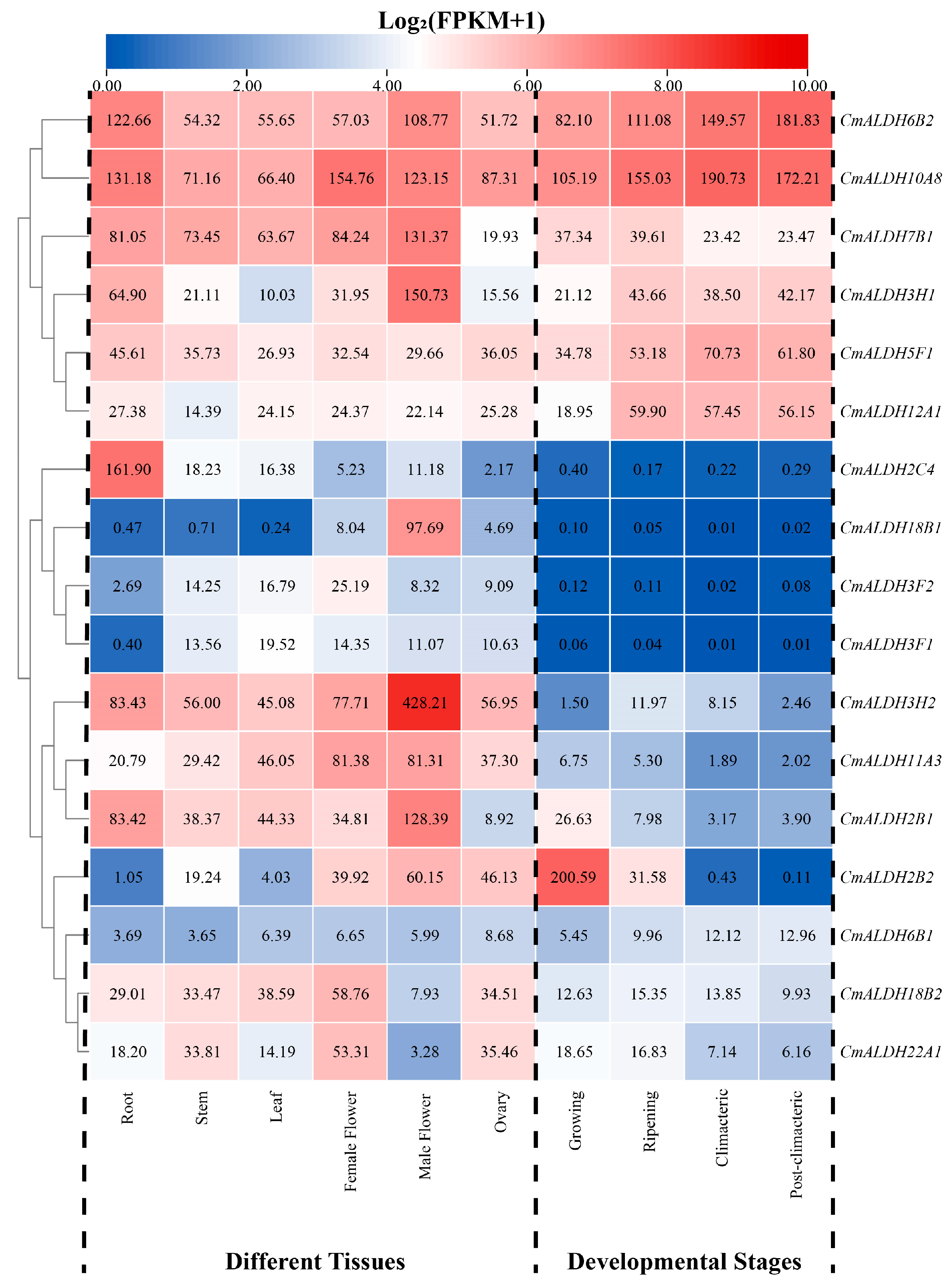 Plants 13 02939 g006