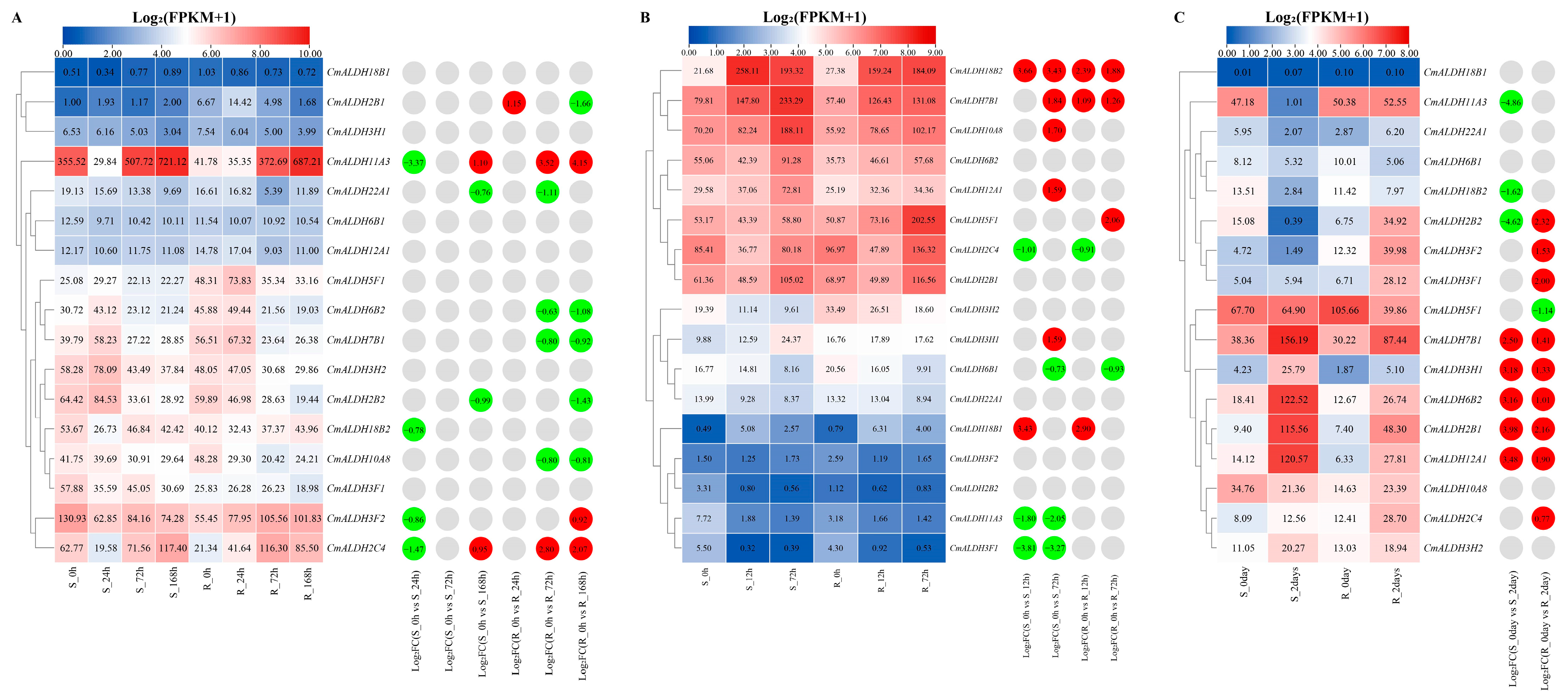 Plants 13 02939 g008