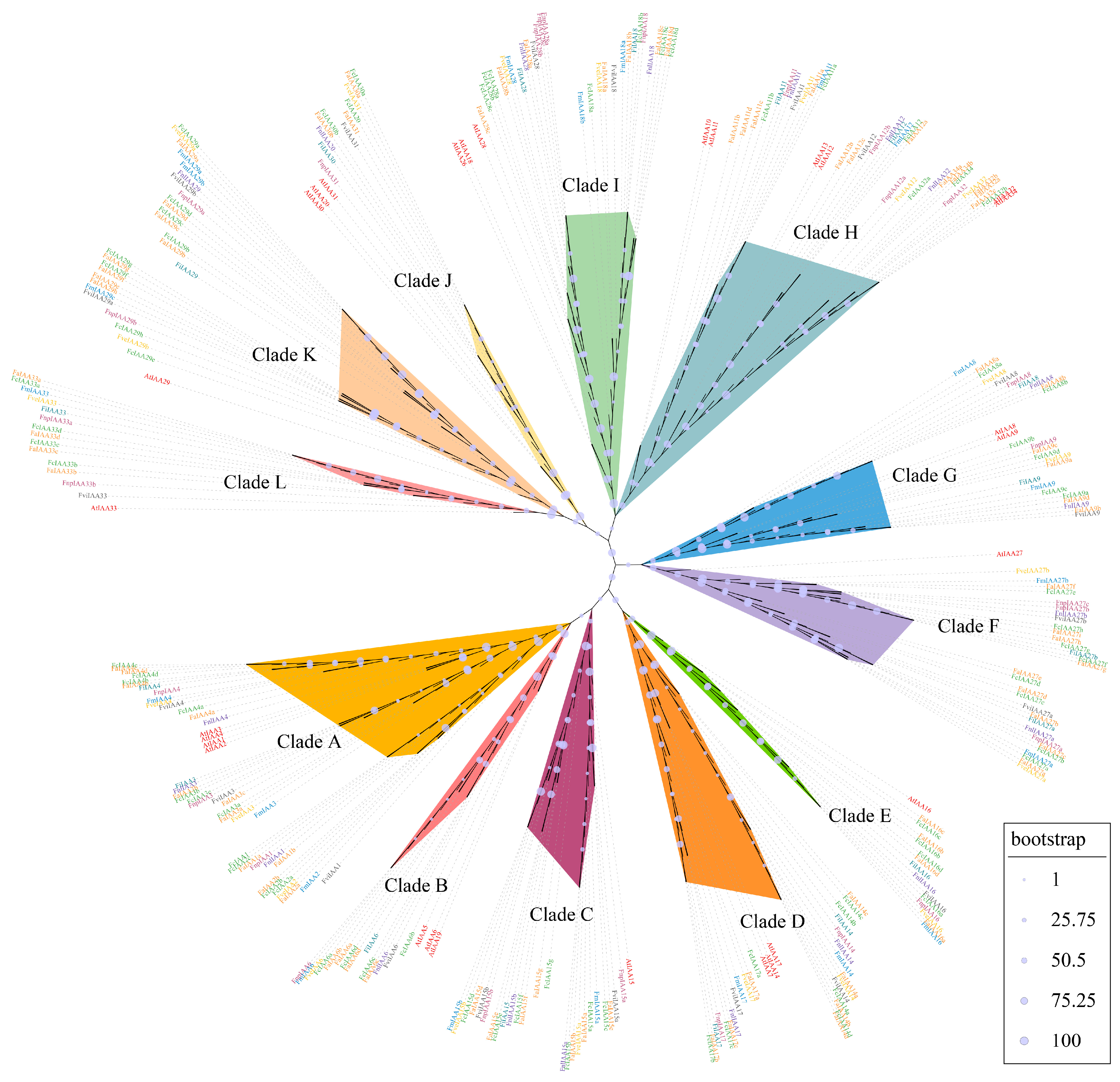 Plants 13 02940 g002