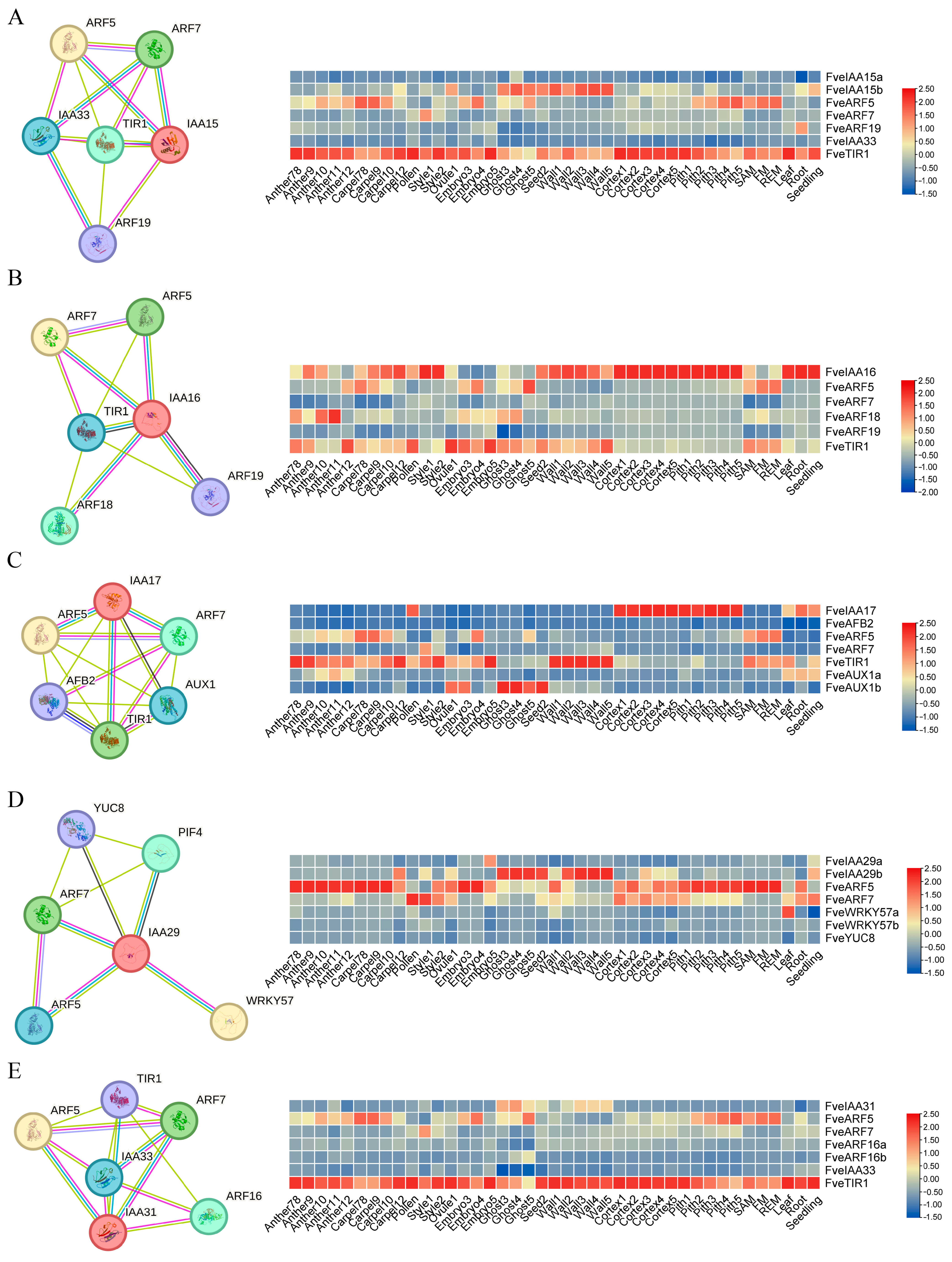 Plants 13 02940 g006