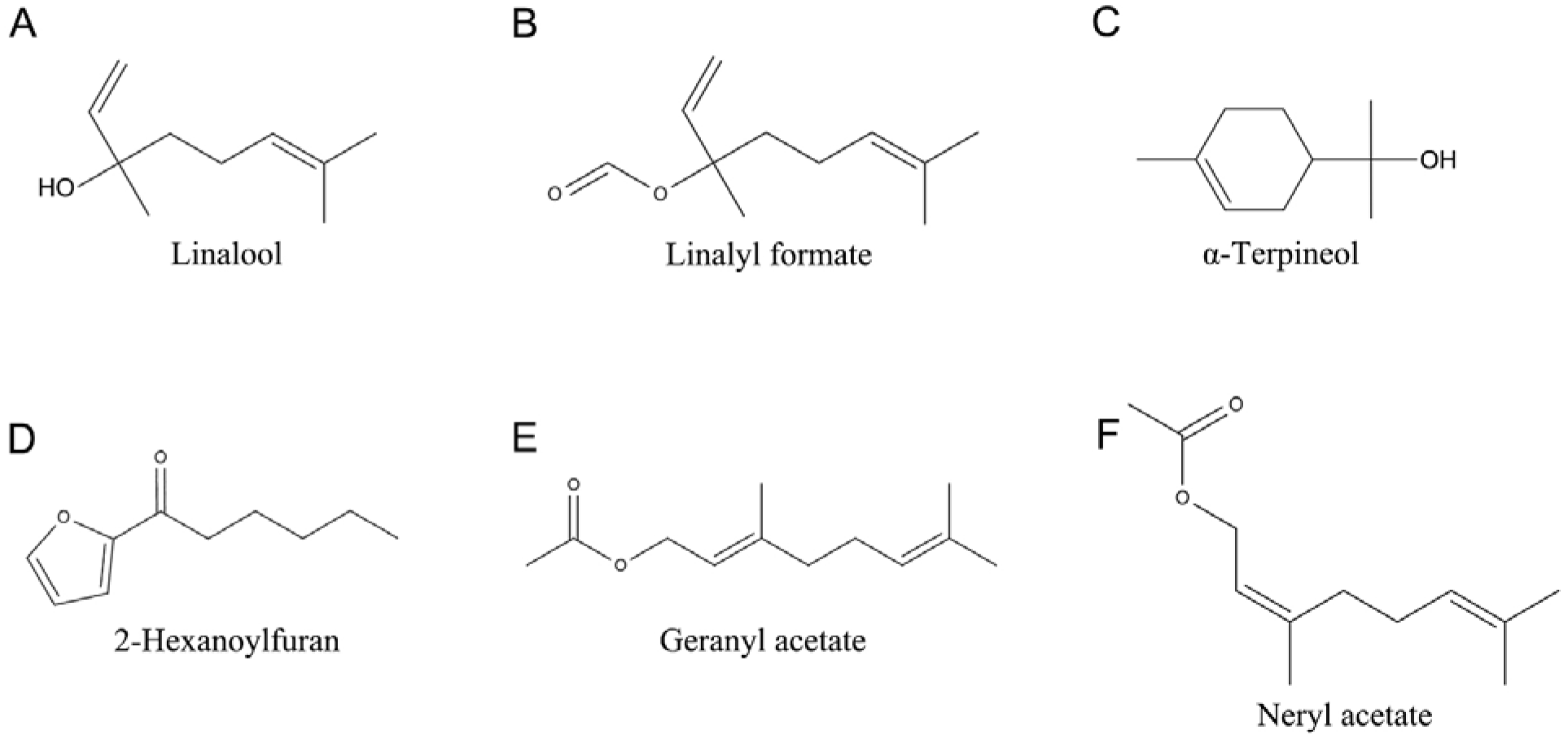 Plants 13 02946 g001