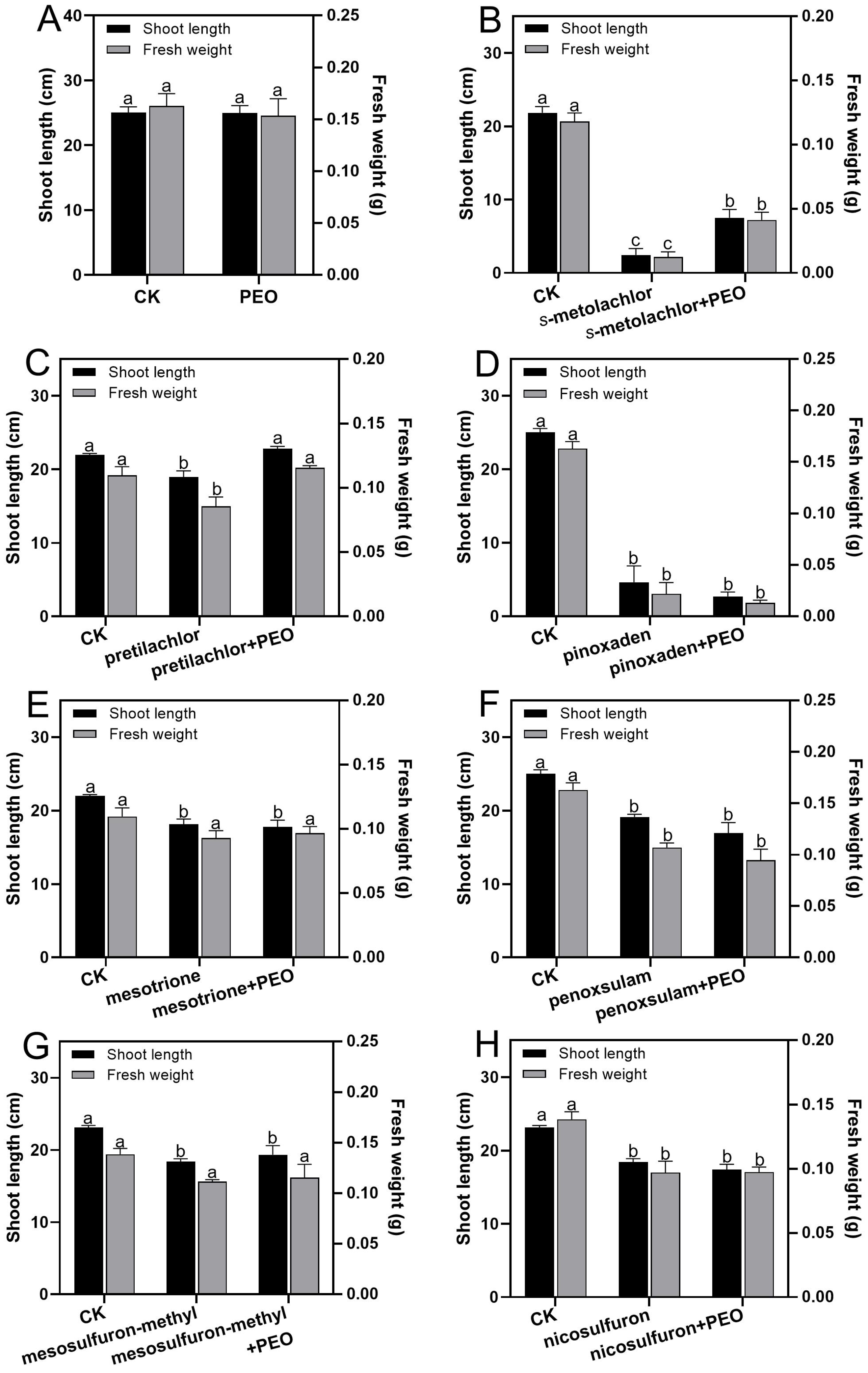 Plants 13 02946 g003