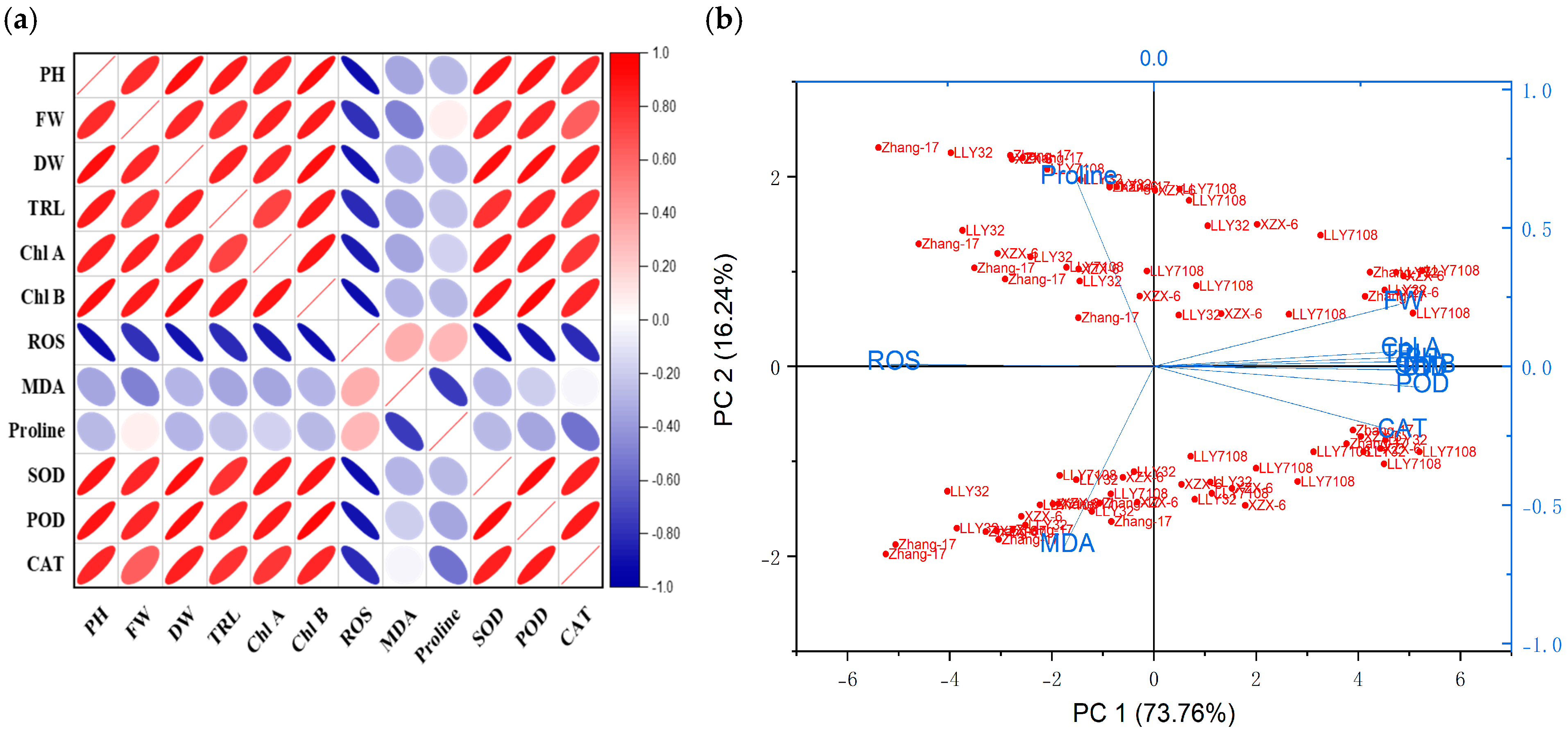 Plants 13 02949 g008