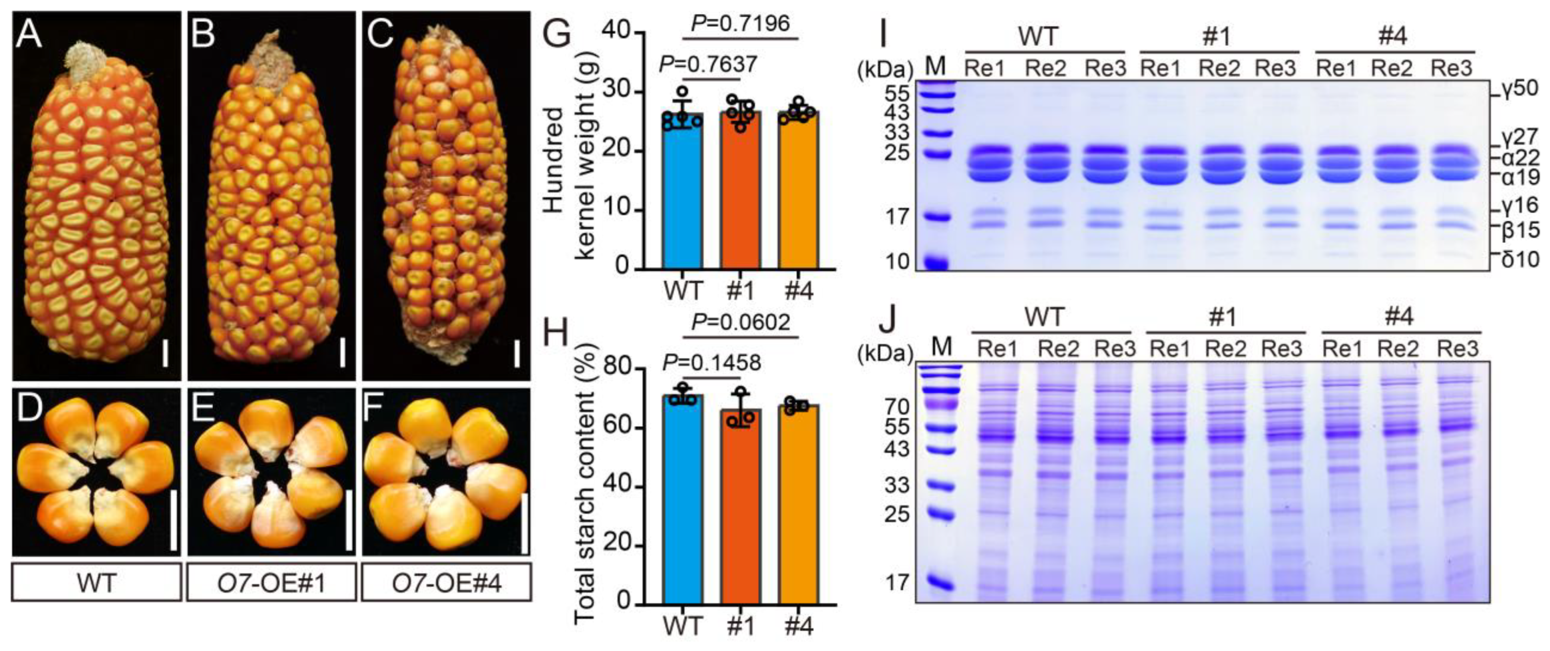 Plants 13 02950 g005 Plants 13 02950 g005