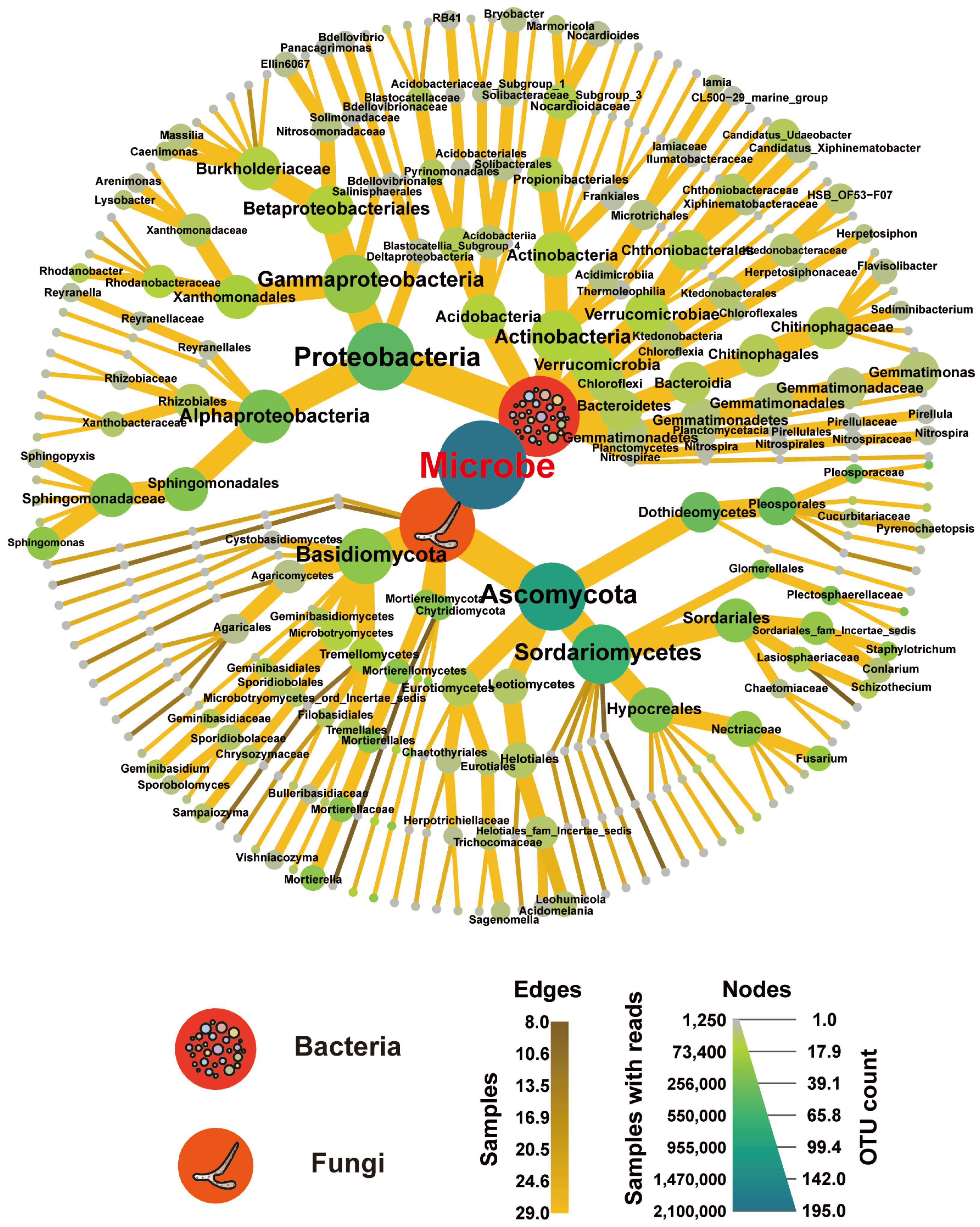 Plants 13 02952 g003