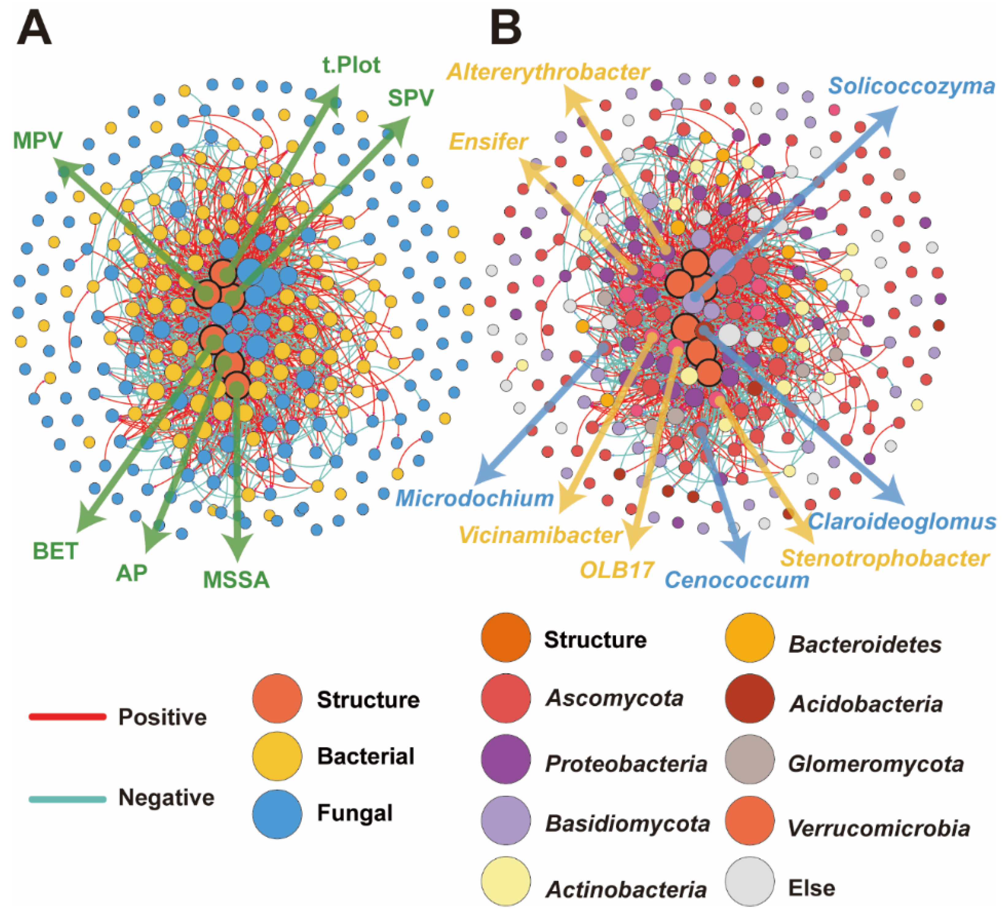 Plants 13 02952 g006