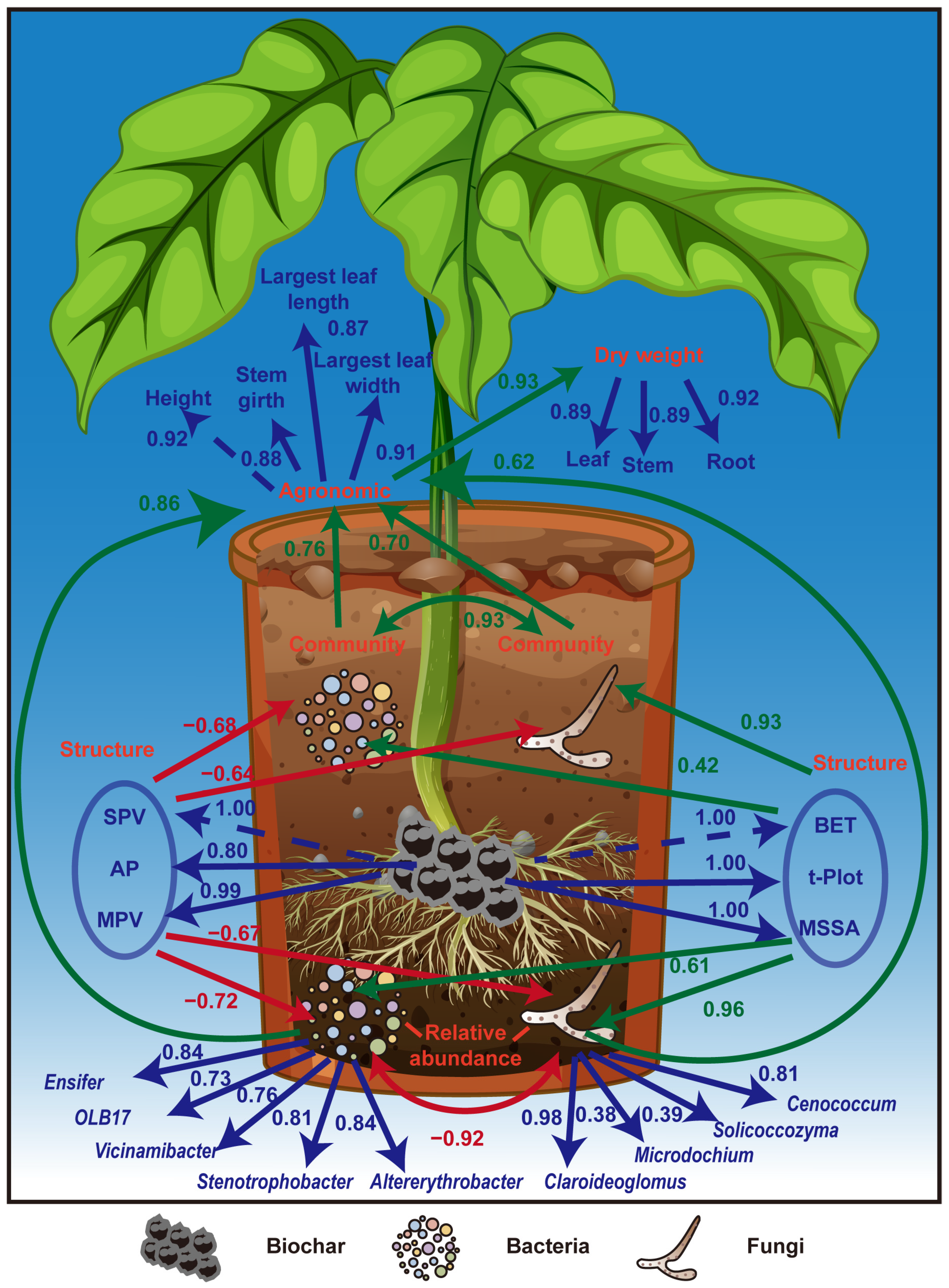 Plants 13 02952 g007