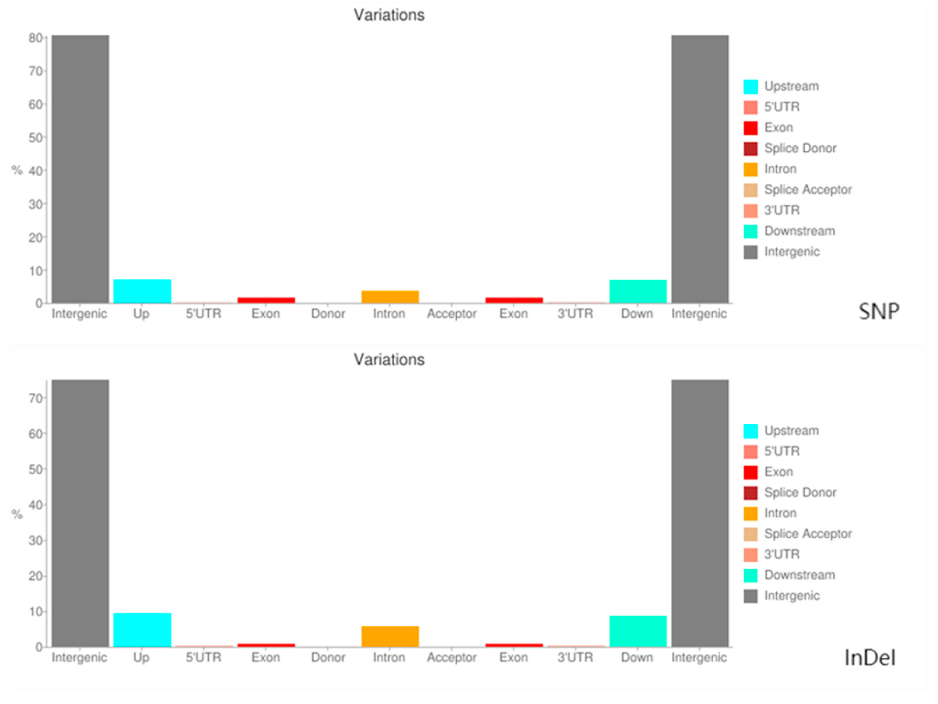 Plants 13 02955 g004