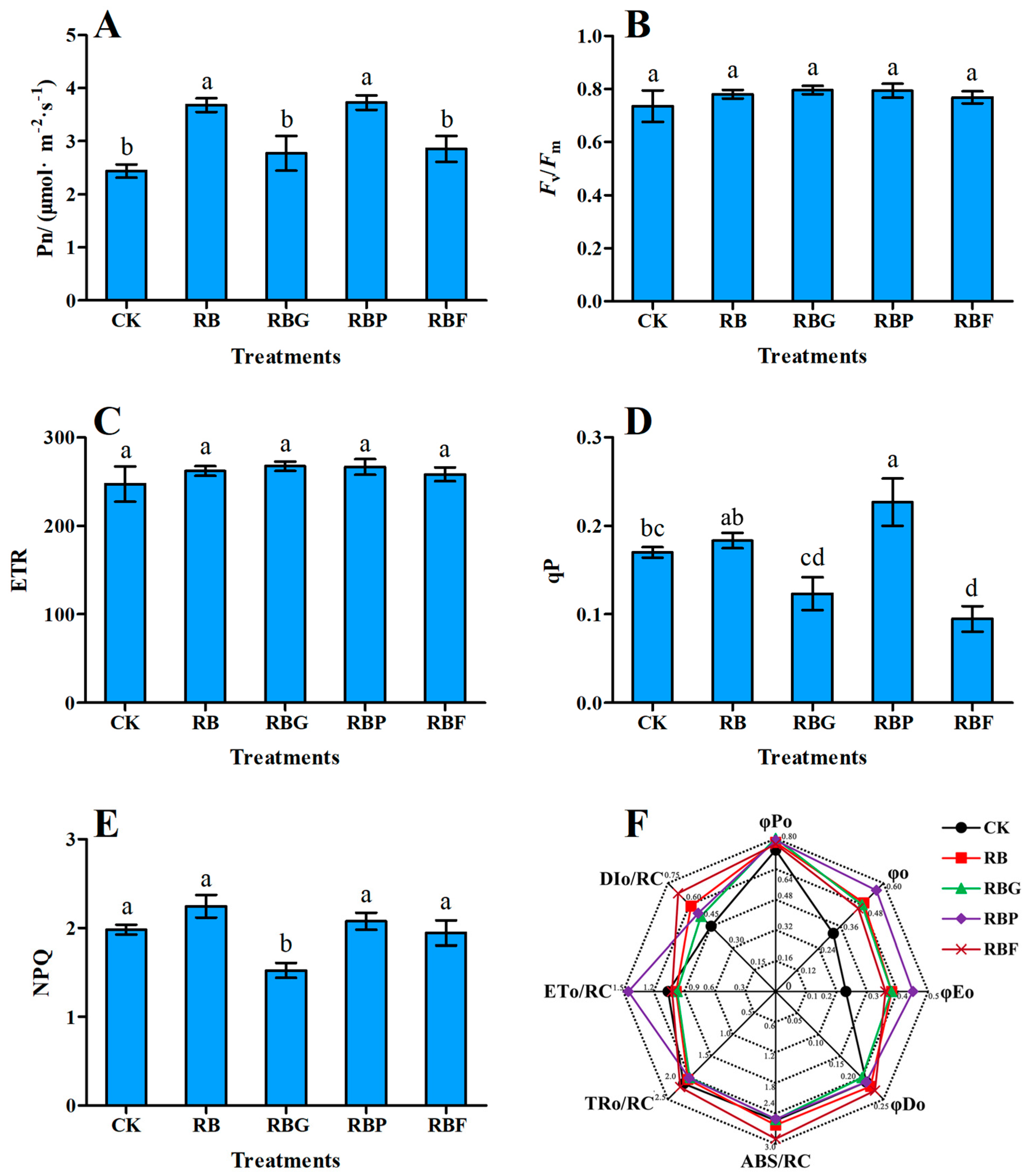 Plants 13 02958 g002