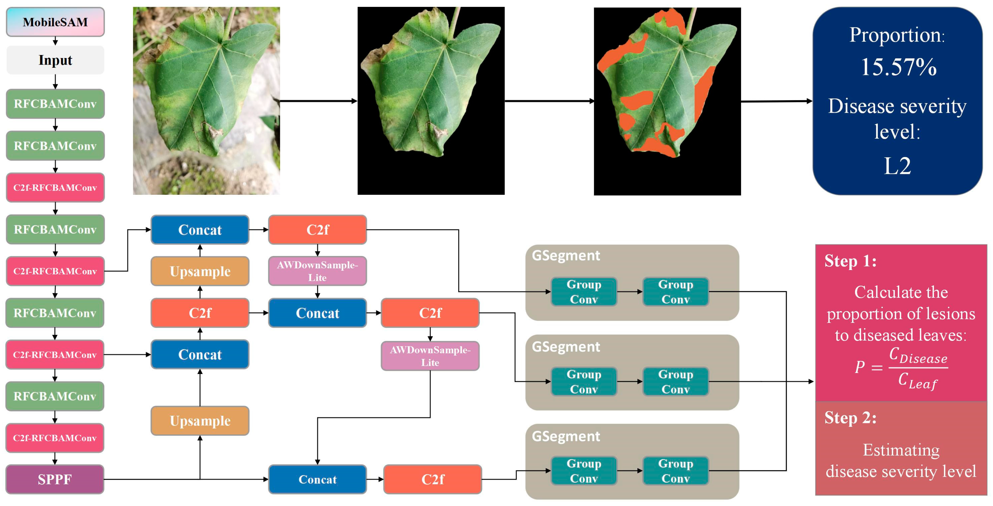 Plants 13 02960 g002