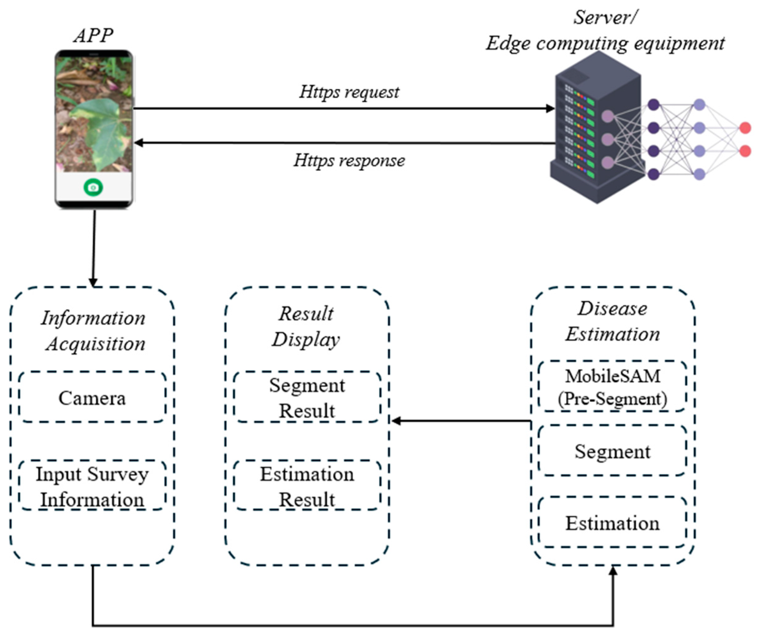 Plants 13 02960 g005