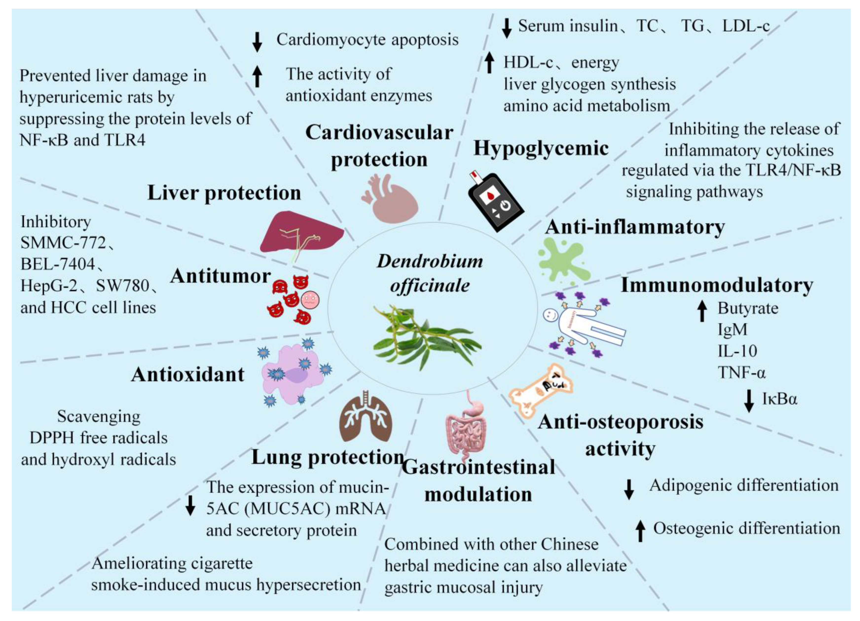 Plants 13 02961 g002