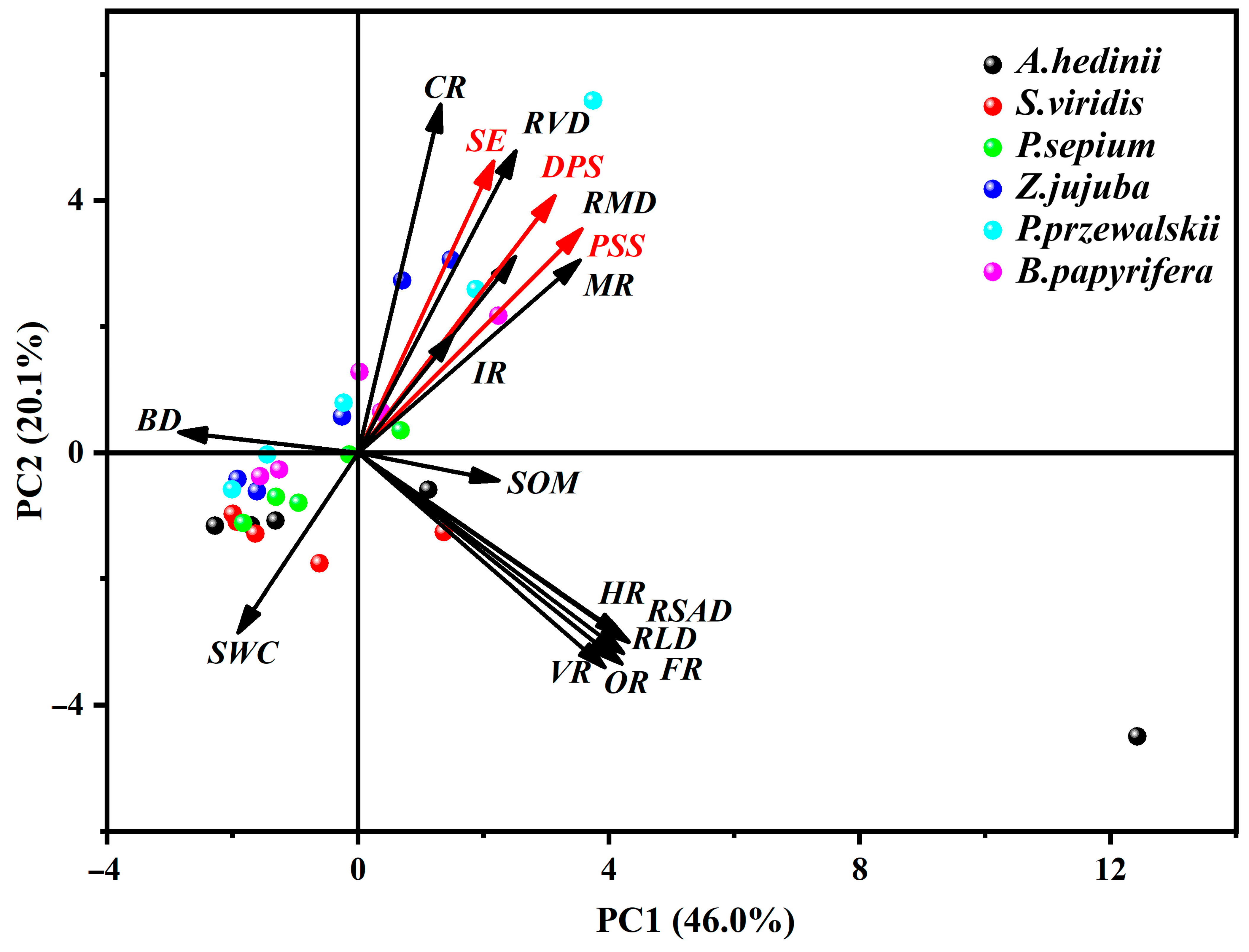 Plants 13 02963 g005
