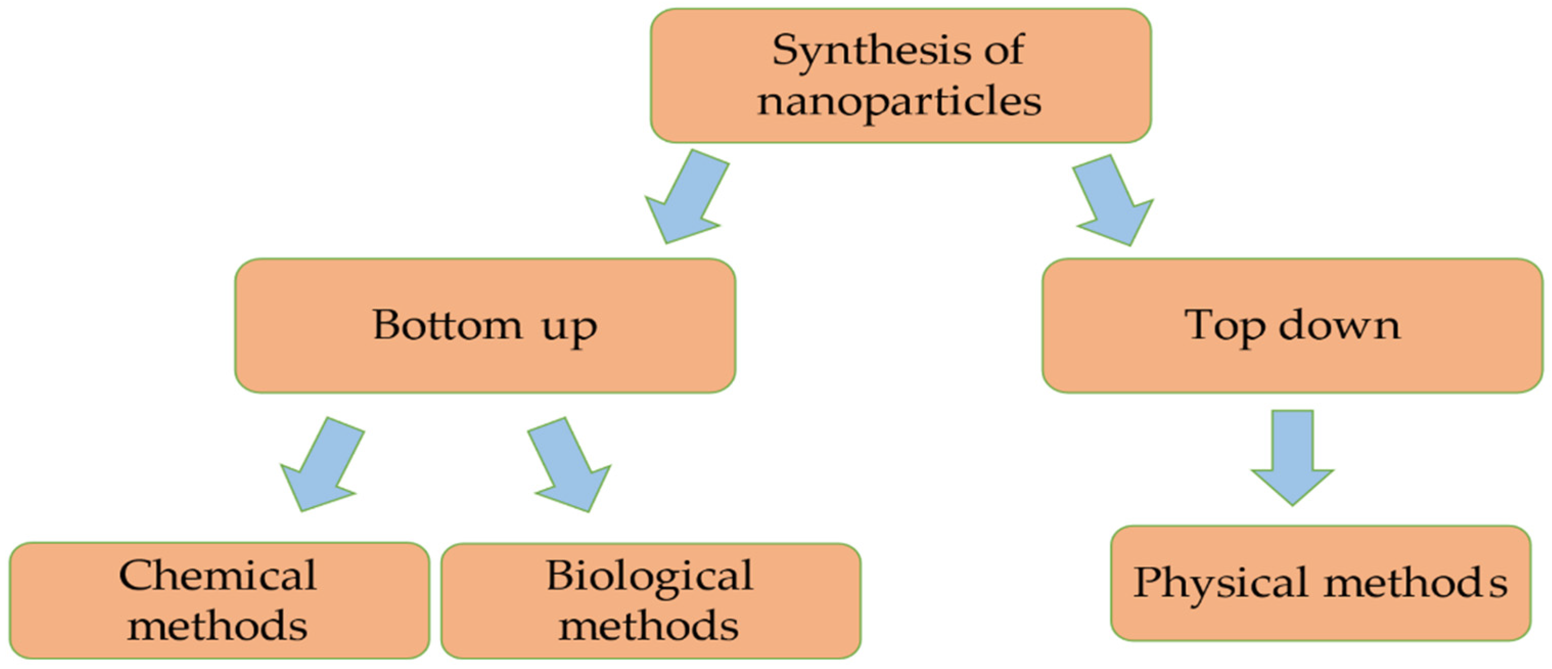 Plants 13 02964 g001