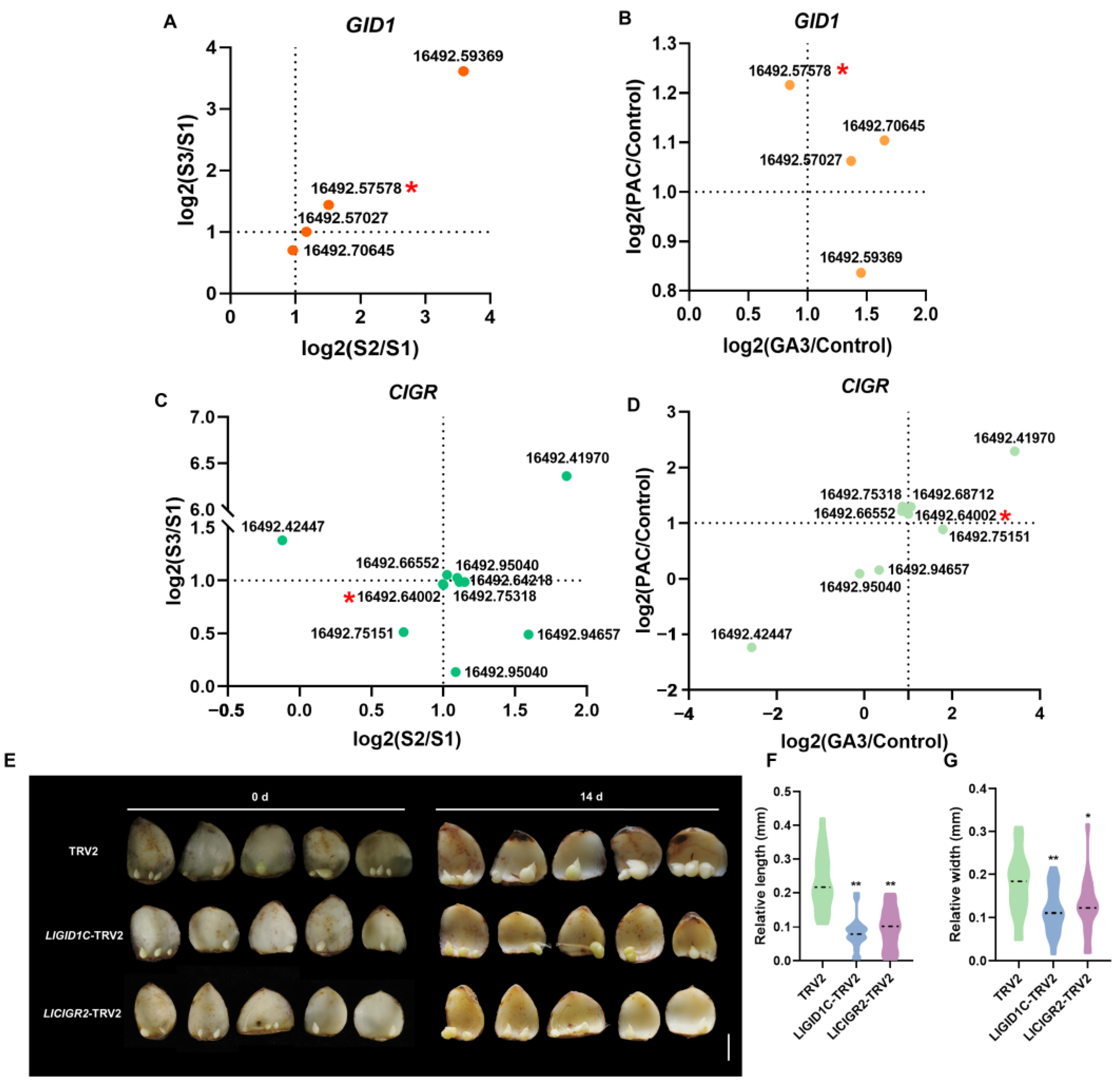 Plants 13 02965 g006