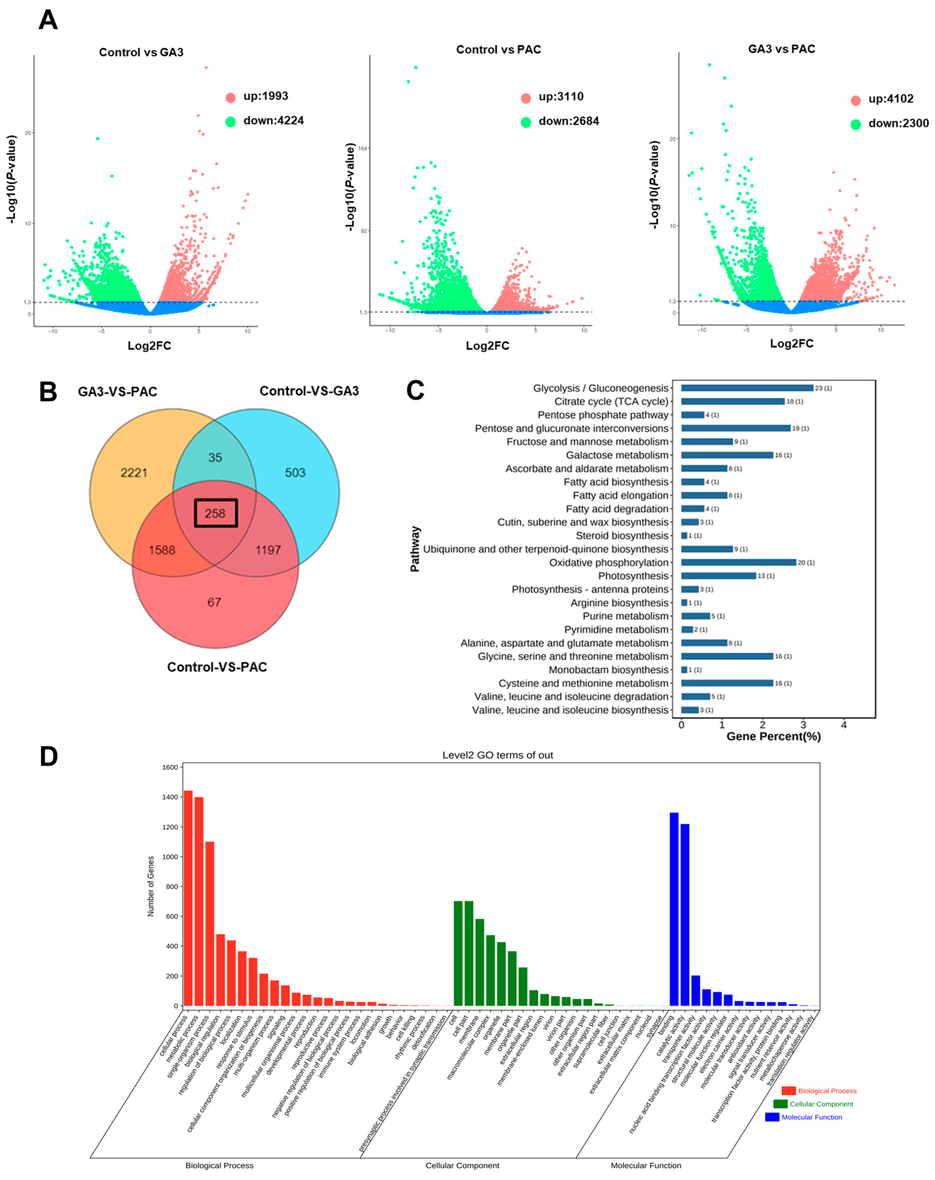 Plants 13 02965 g007