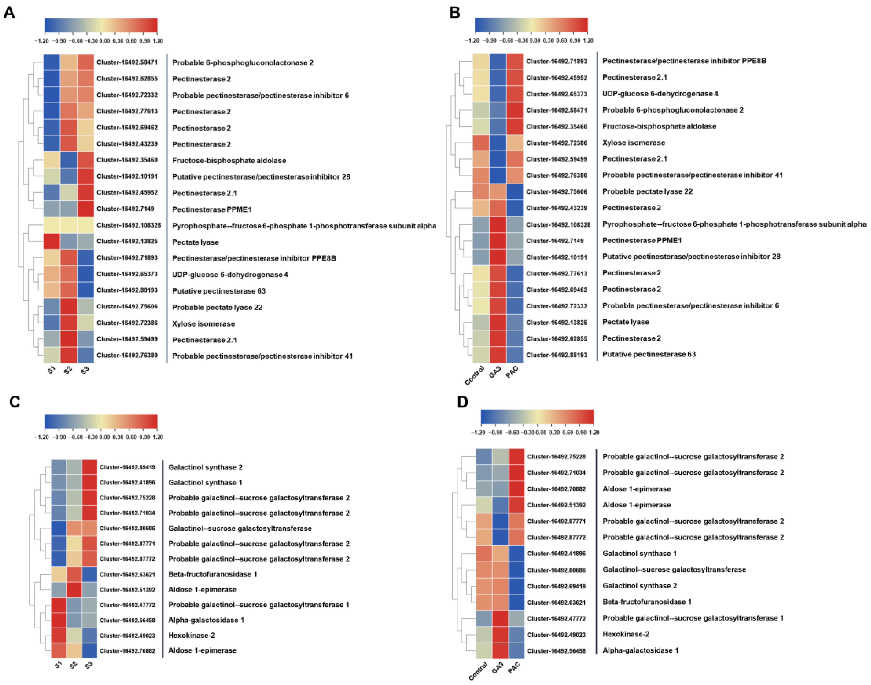 Plants 13 02965 g008
