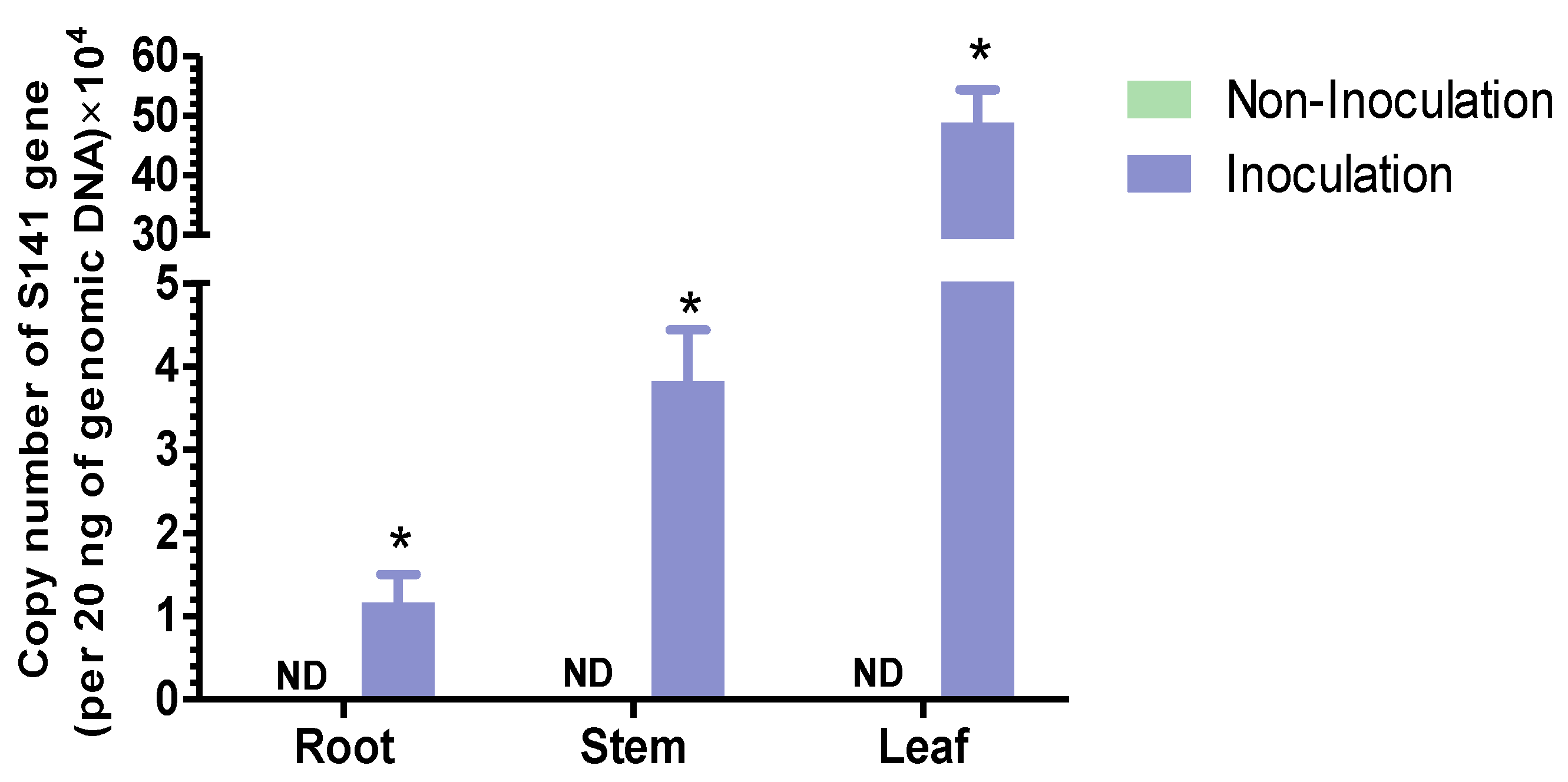 Plants 13 02971 g001