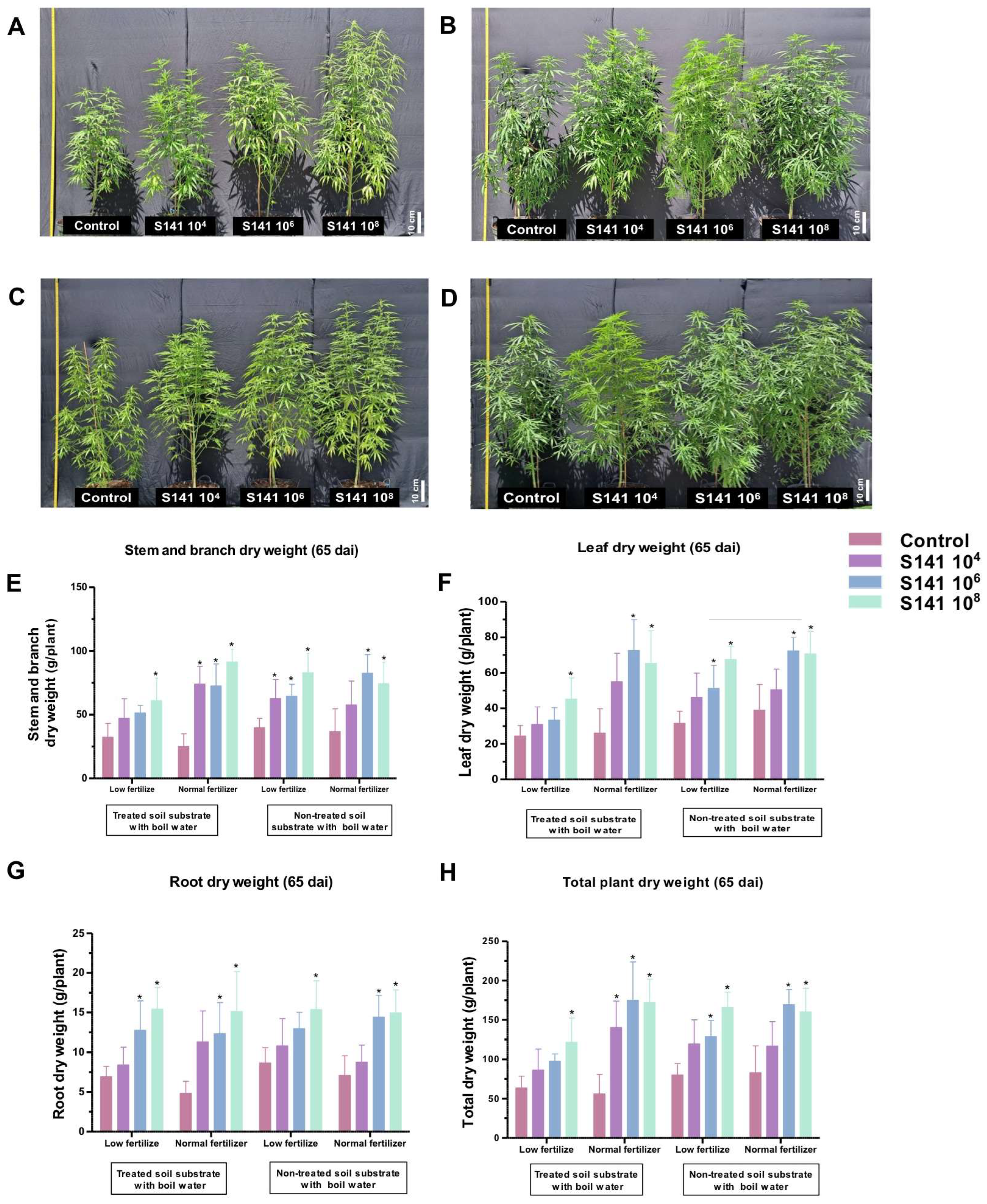 Plants 13 02971 g003